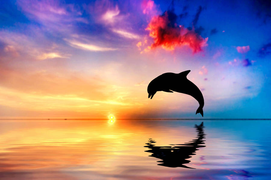 Living 3D Dolphins wallpaper