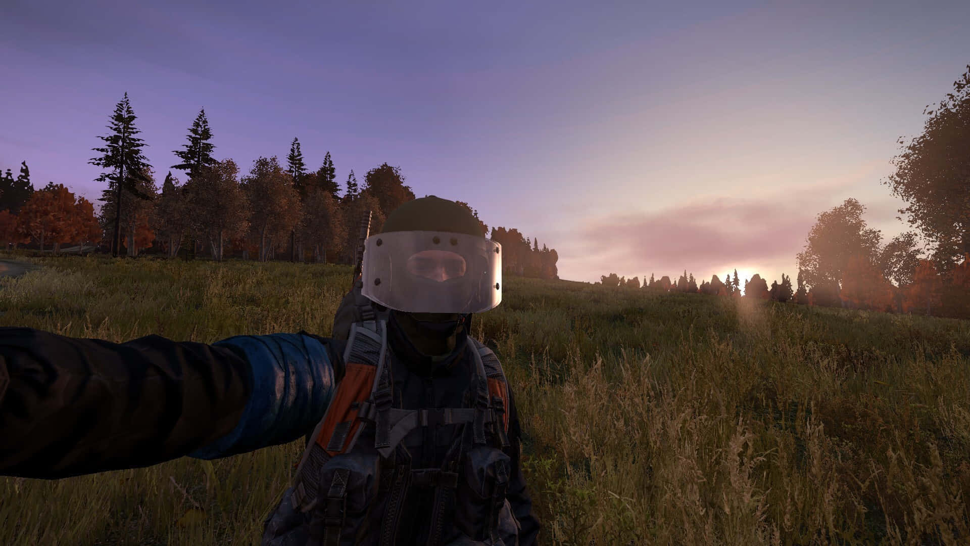 Epic Encounter in DayZ Survival Game at 1080p Resolution