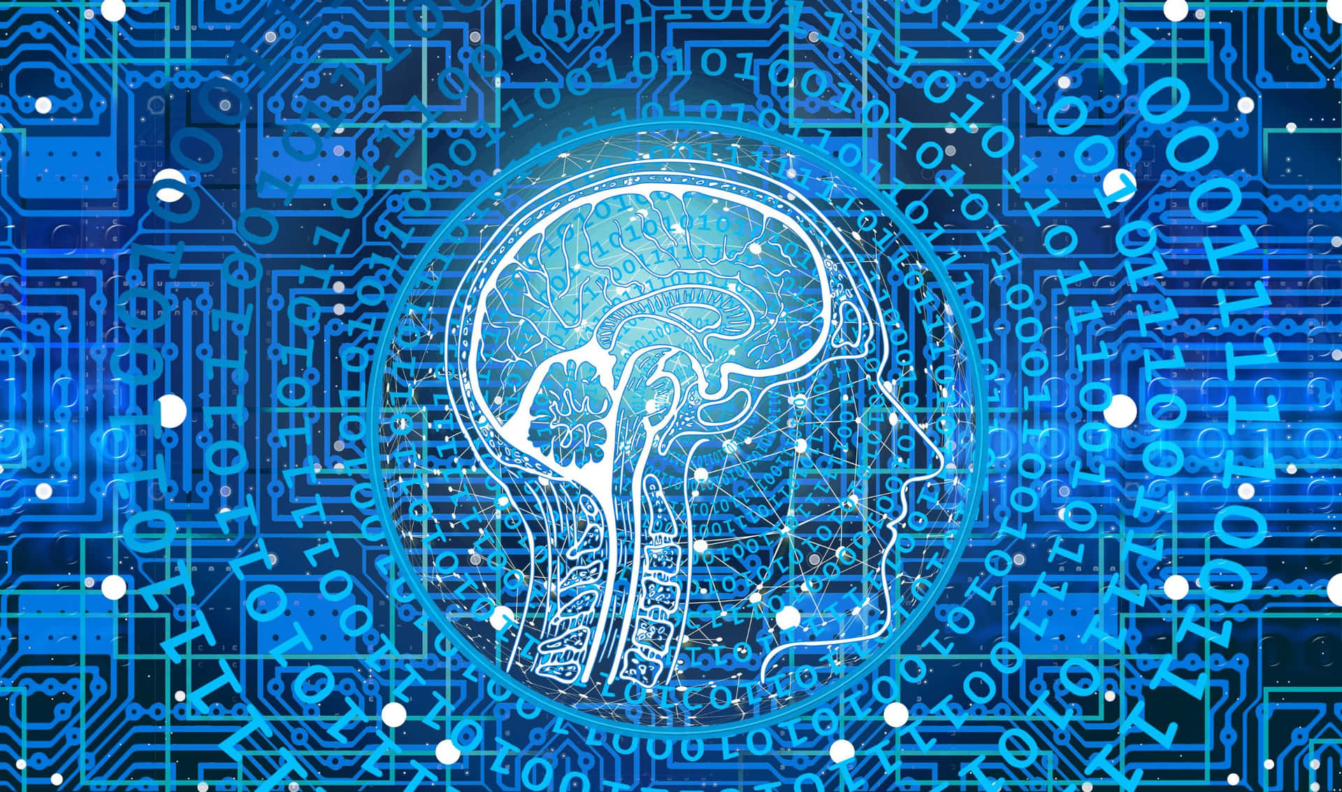 2440x1440 Programming Background Blue Transparent Human Brain