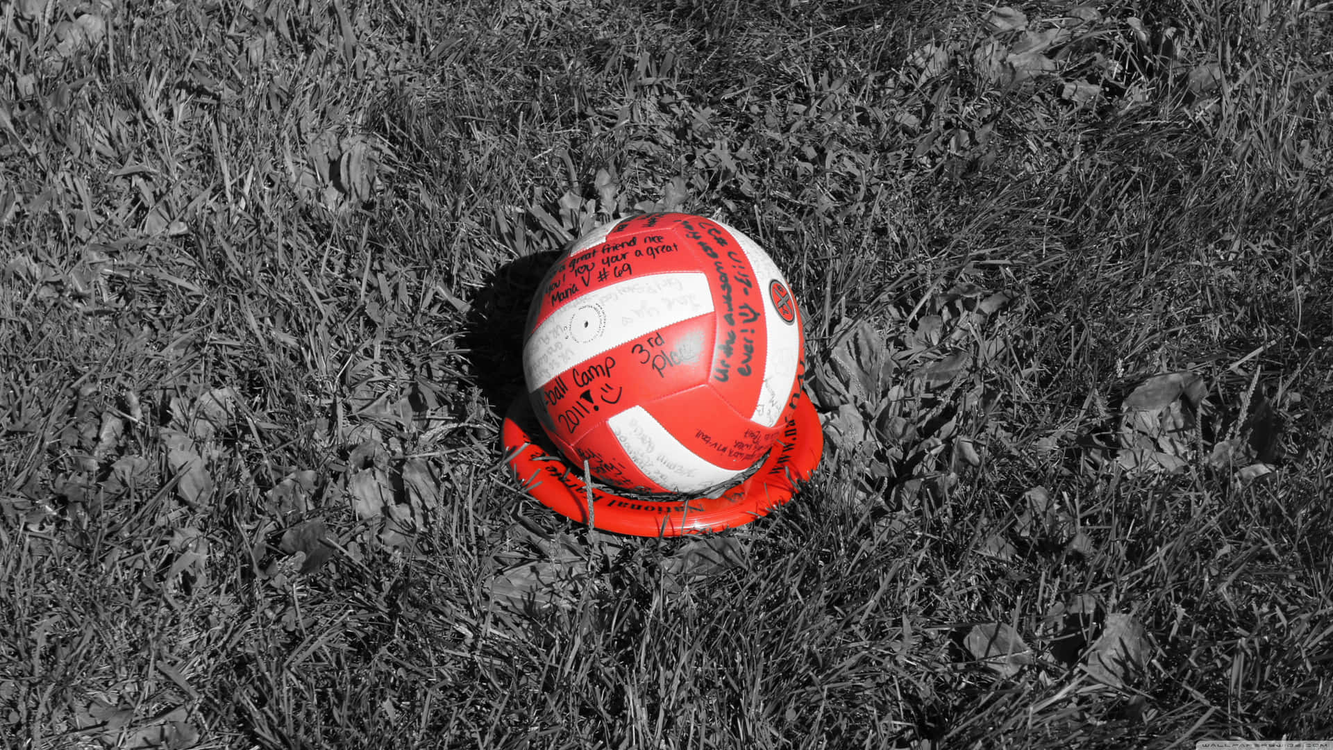 4k Volleyball Background Black And White Grass