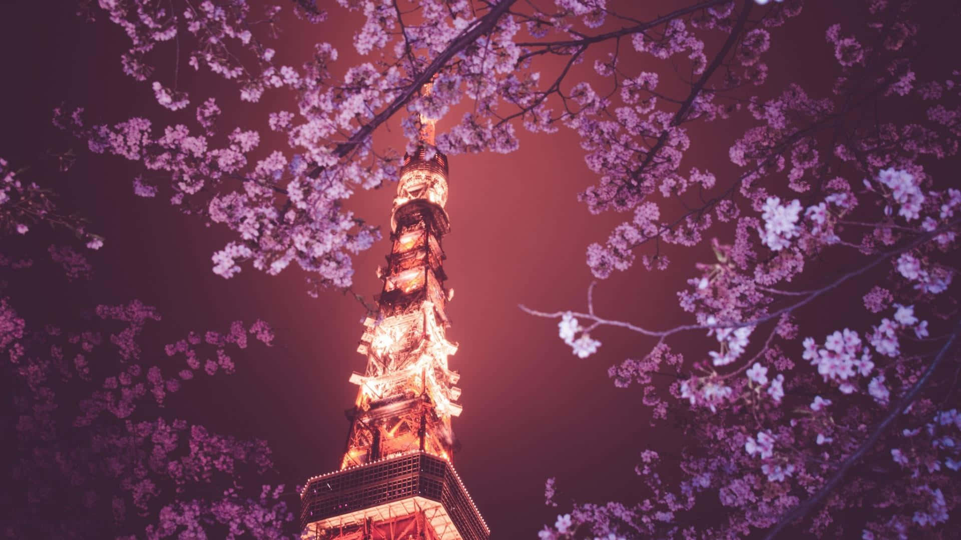 The Tower And Aesthetic Cherry Blossom Wallpaper