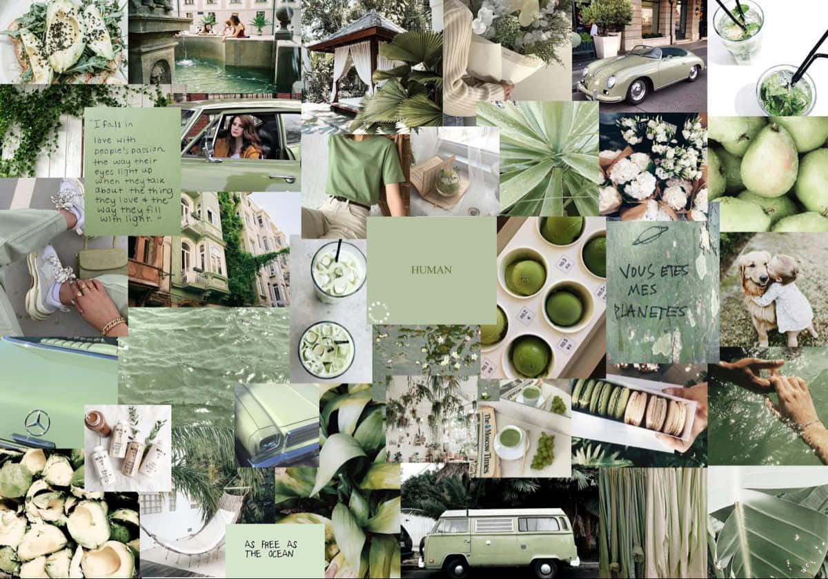 Aesthetic Green Pastel Collage Pictures