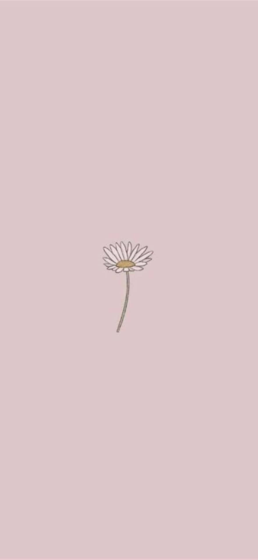 Aesthetic Flower Outline Picture