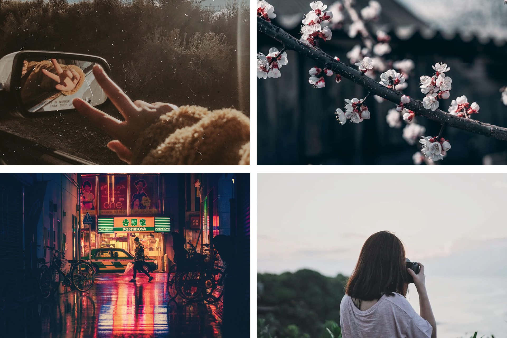 Aesthetic Layout Pictures