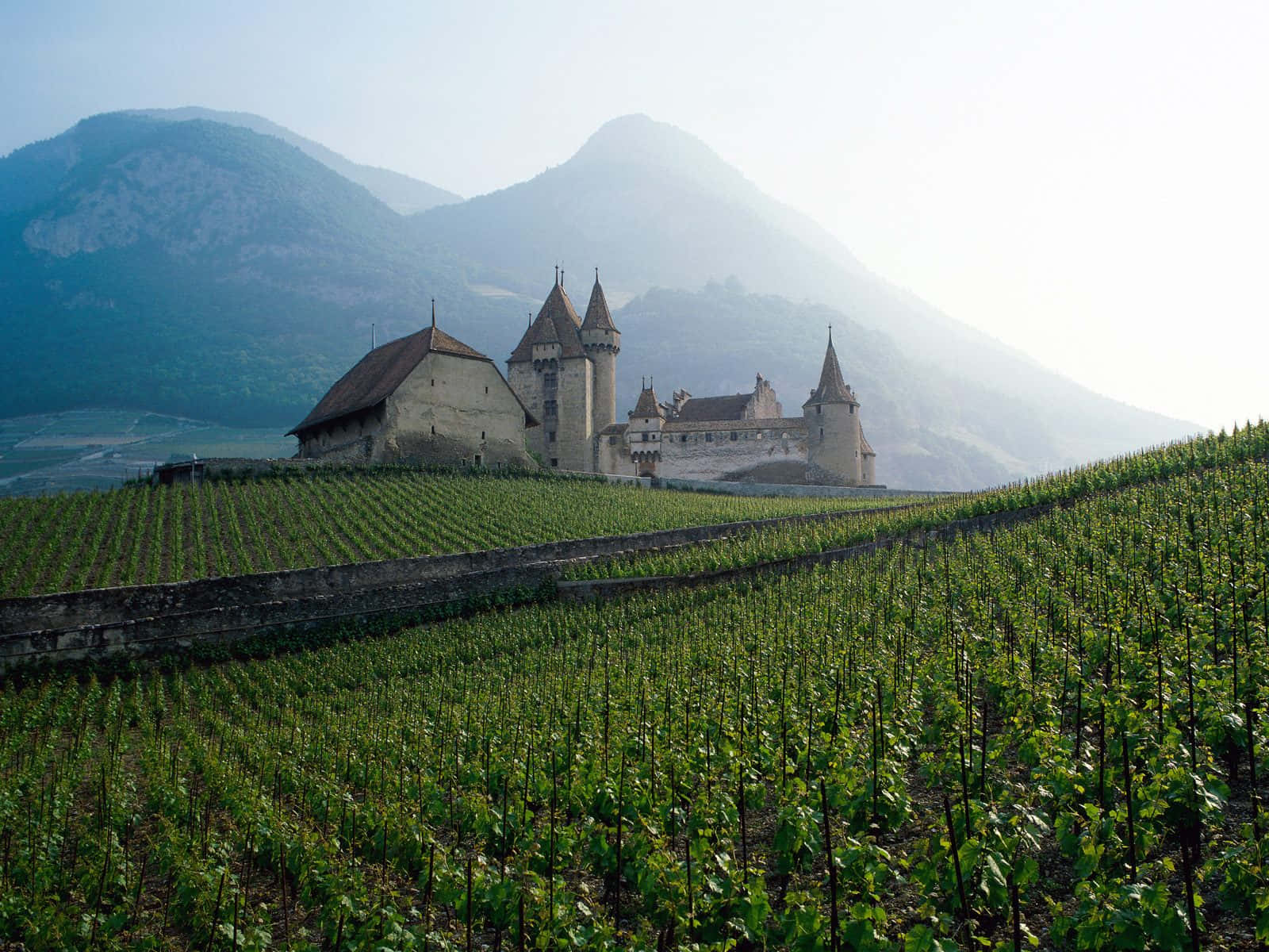 "Scenic view of Aigle Castle nestled in the idyllic countryside of Vaud, Switzerland" Wallpaper
