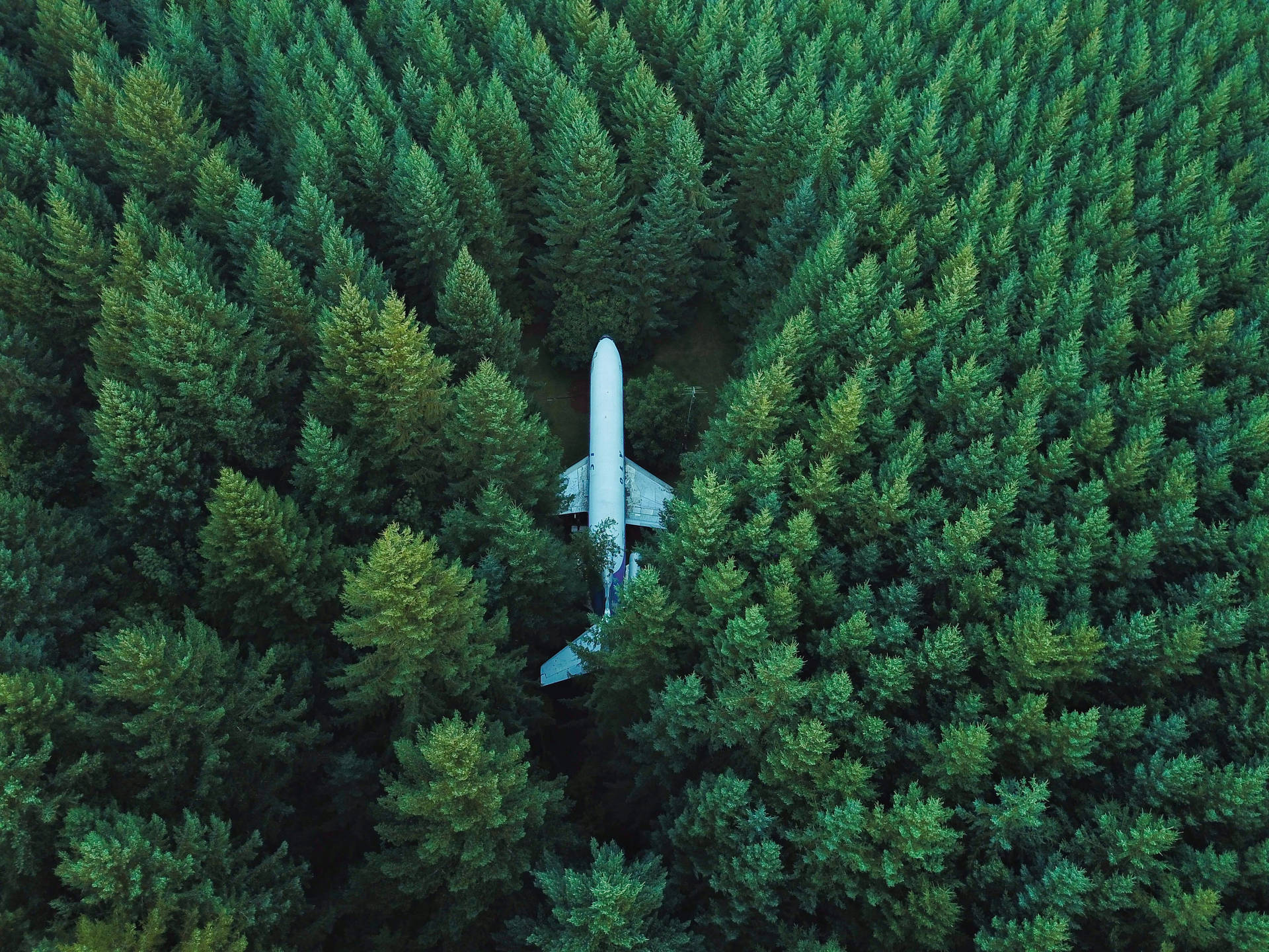 "Exploring Nature via Airplane" Wallpaper