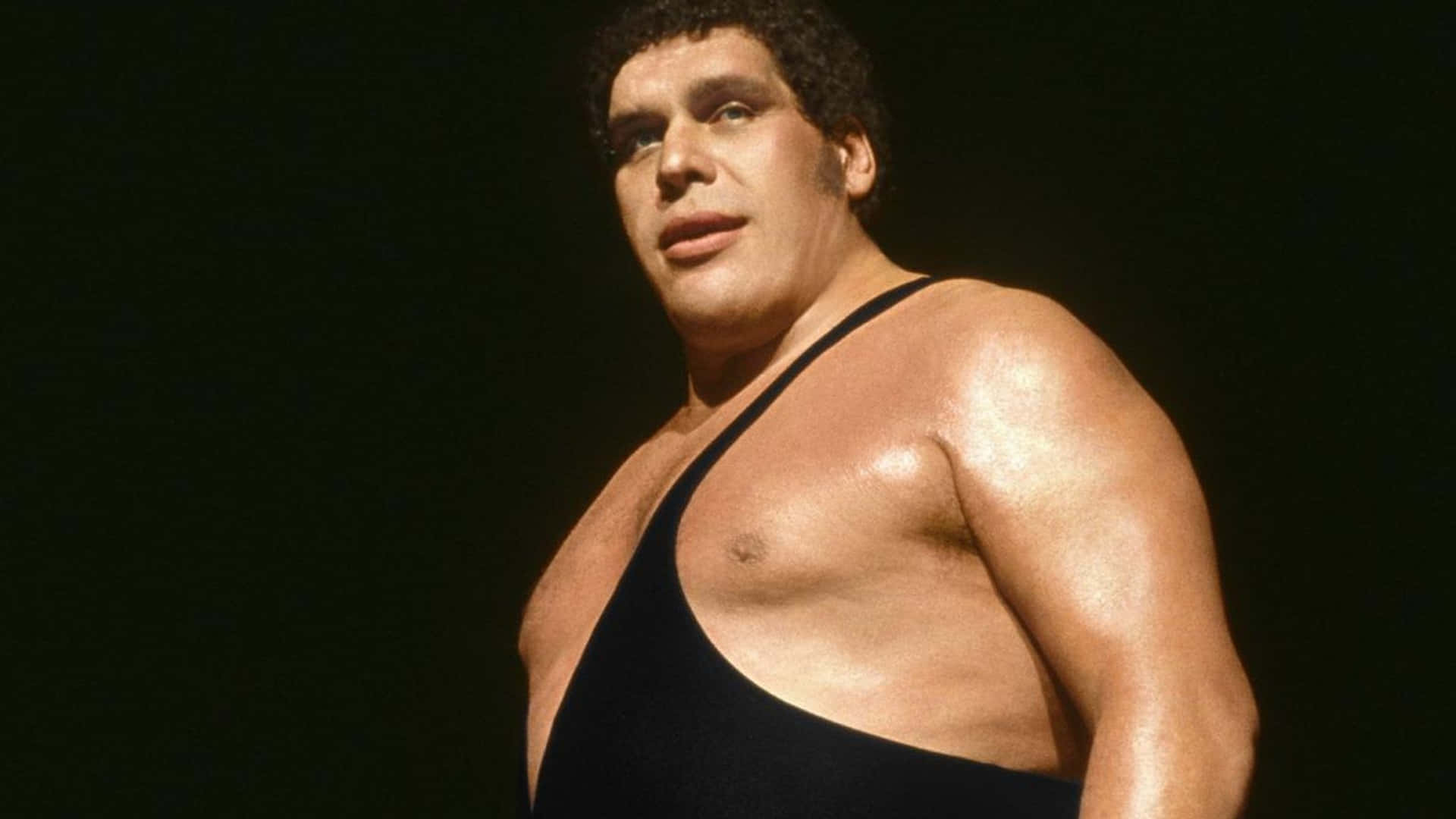 Andre The Giant Dominating the Wrestling Ring Wallpaper