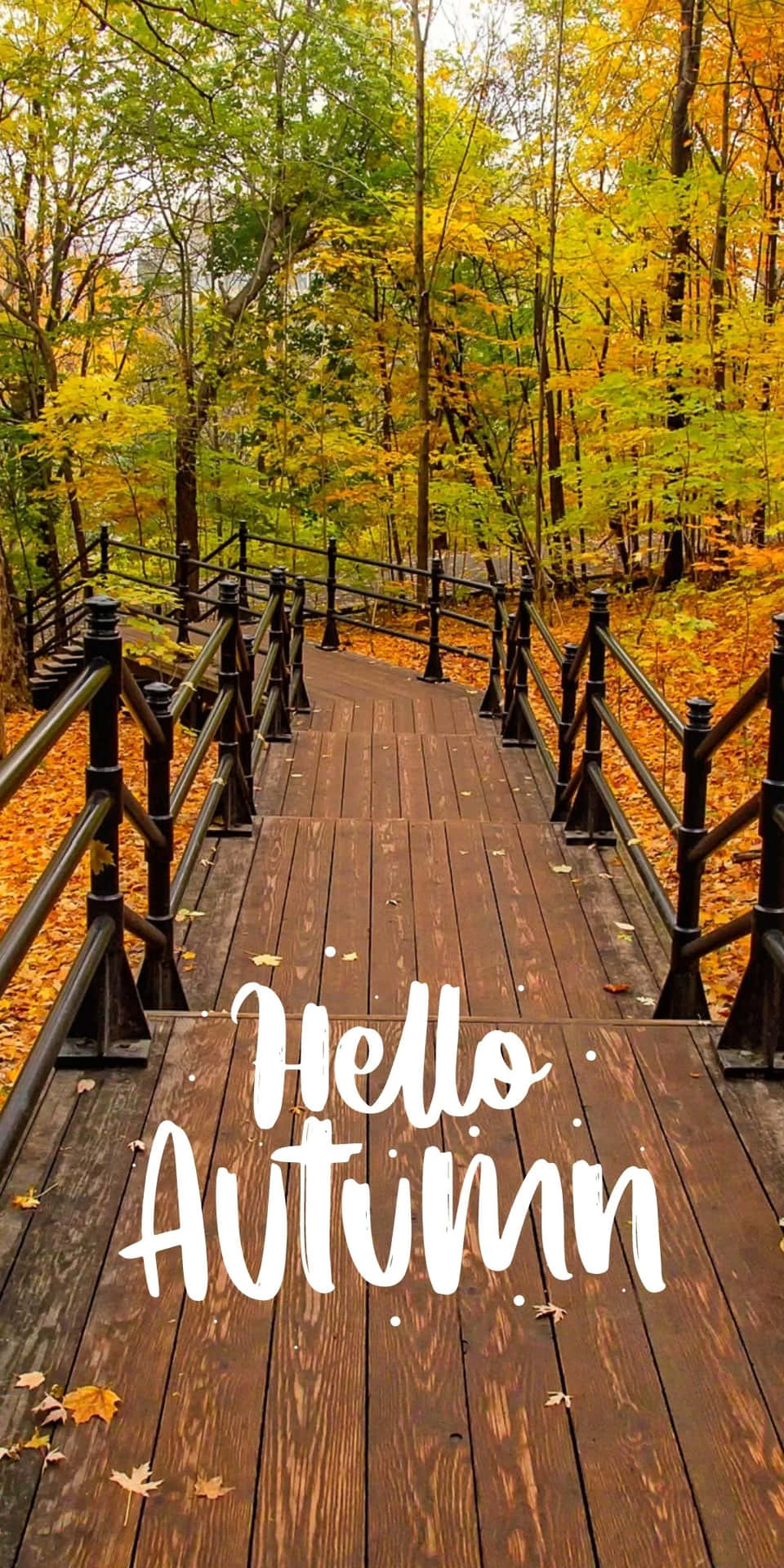 Android Autumn Background Forest Boardwalk