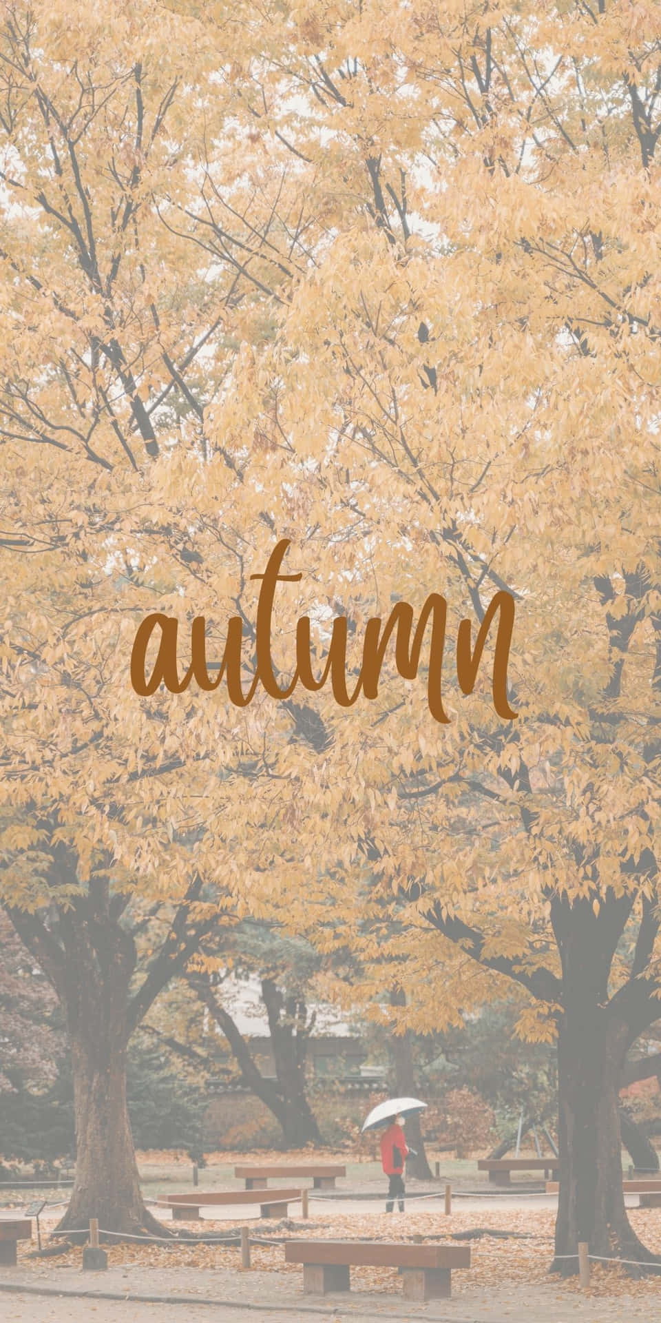 Android Autumn Background Of Orange-Colored Trees