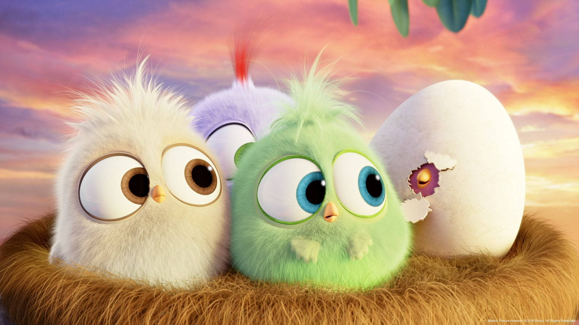 Enter the World of Angry Birds Wallpaper