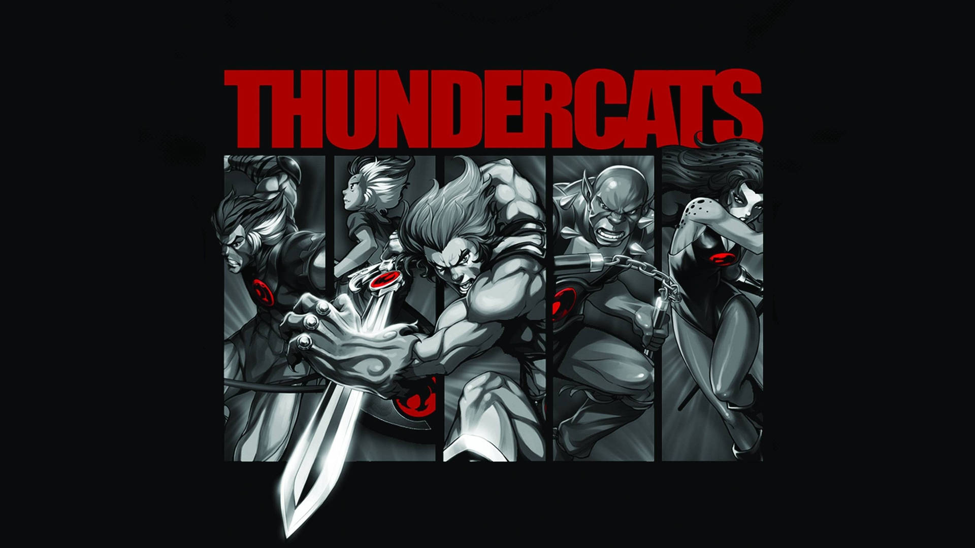 Animated Thundercats Series Wallpaper