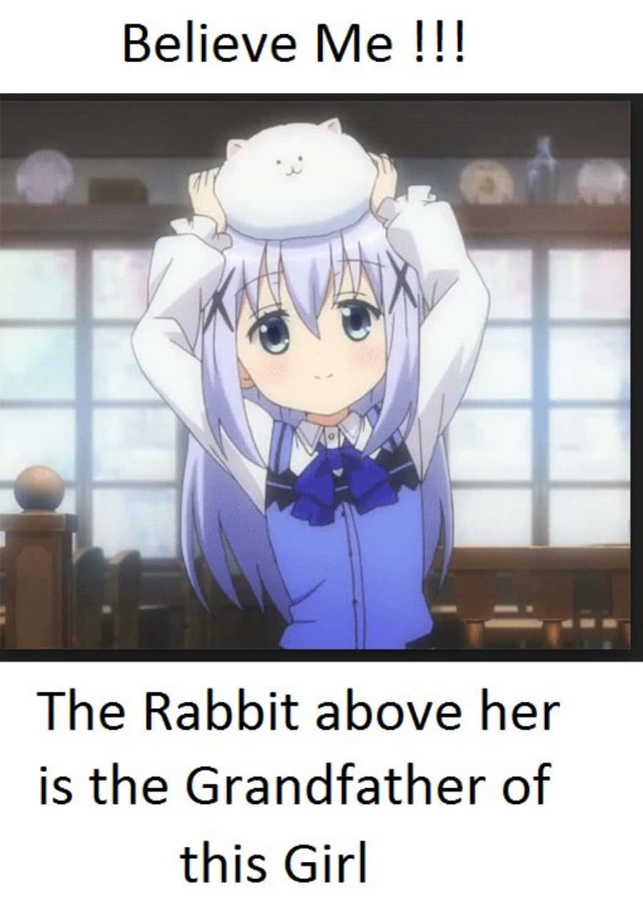 The Rabbit Above Her Is The Grandmother Of This Girl