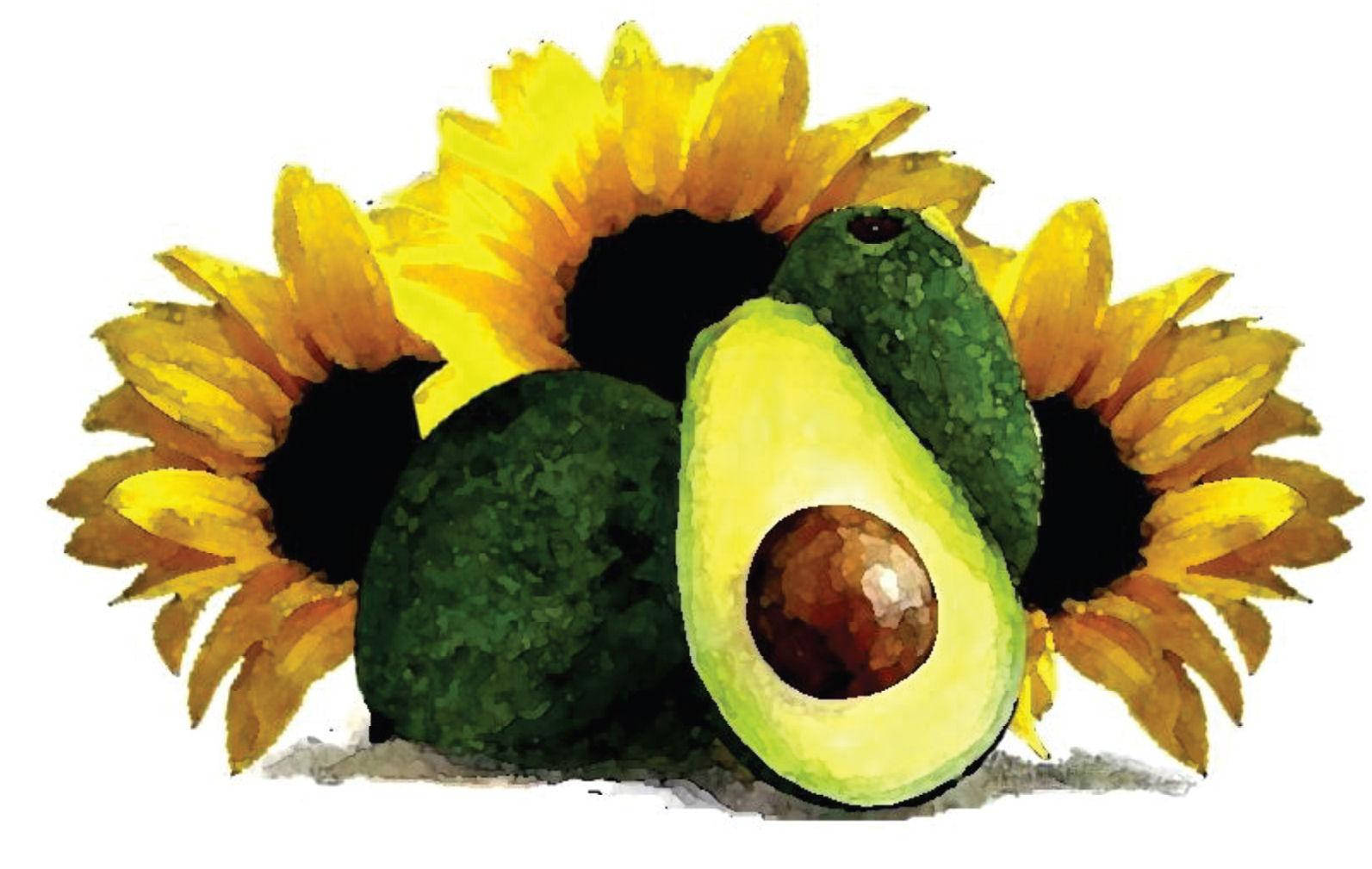 Artistic Avocado Fruits And Sunflowers Painting Wallpaper