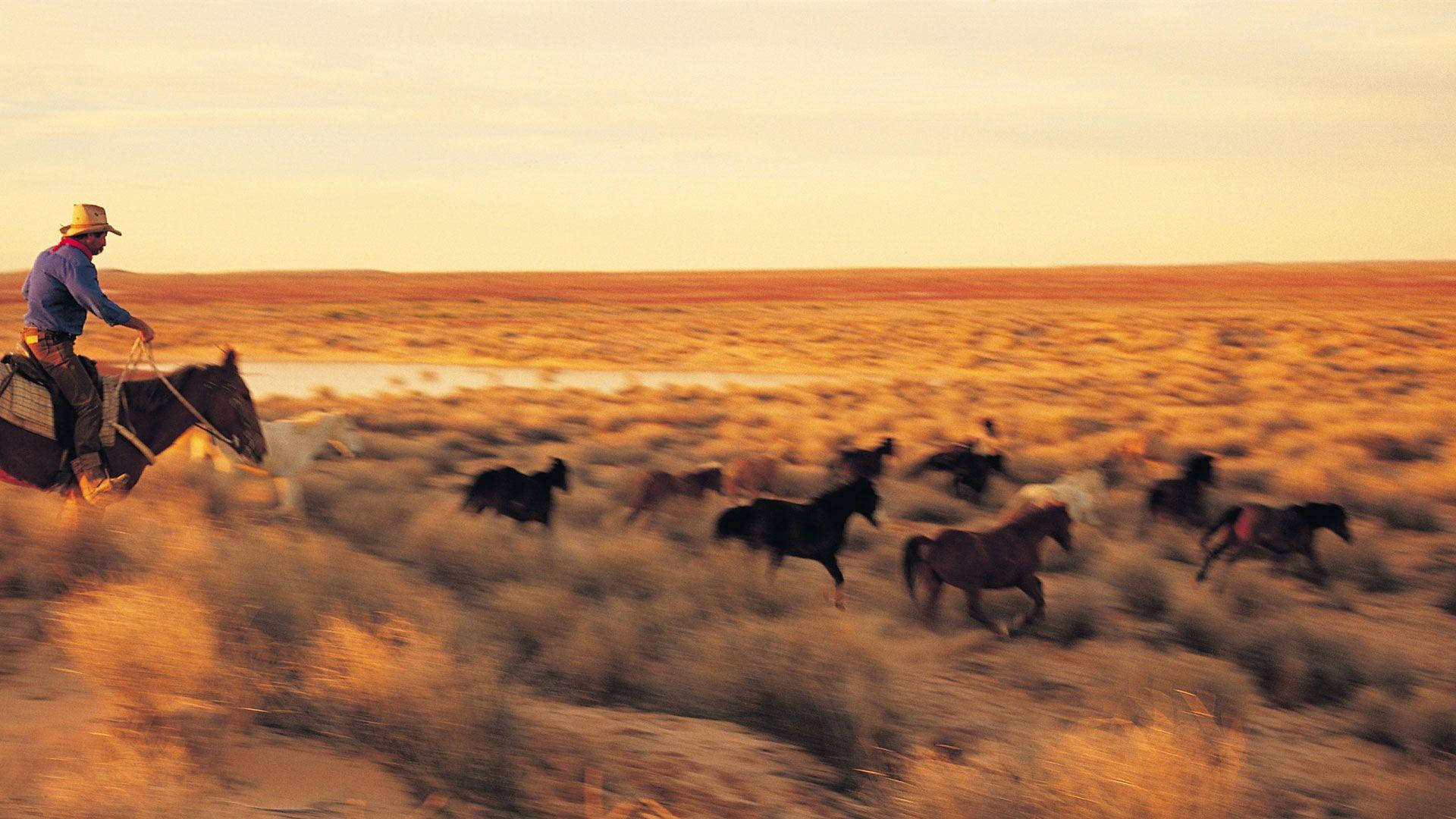 Australian Outback Horse Riding Wallpaper