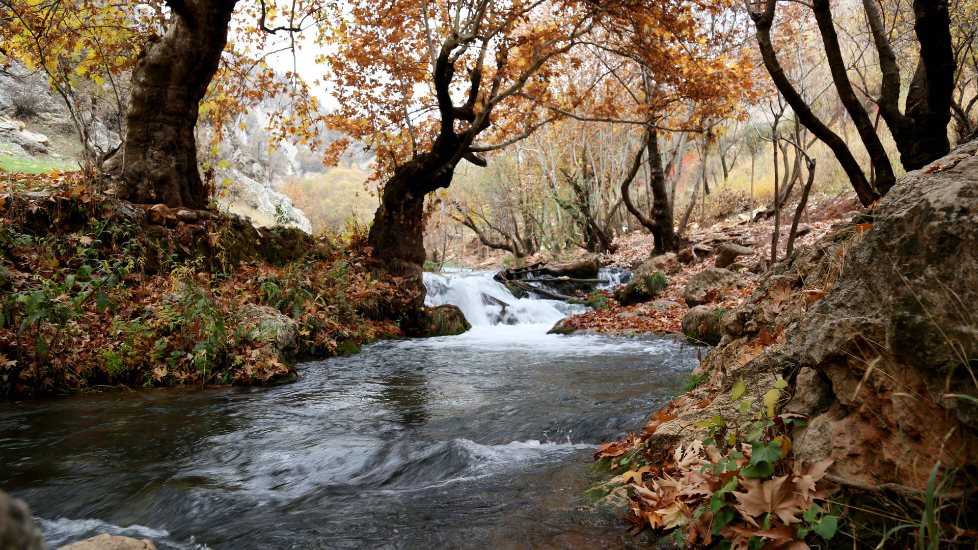 Autumn Season River View Wallpaper