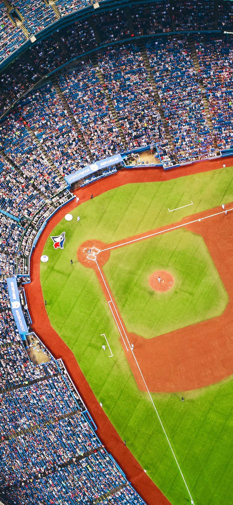Portrait Aerial Cut Baseball Field Background