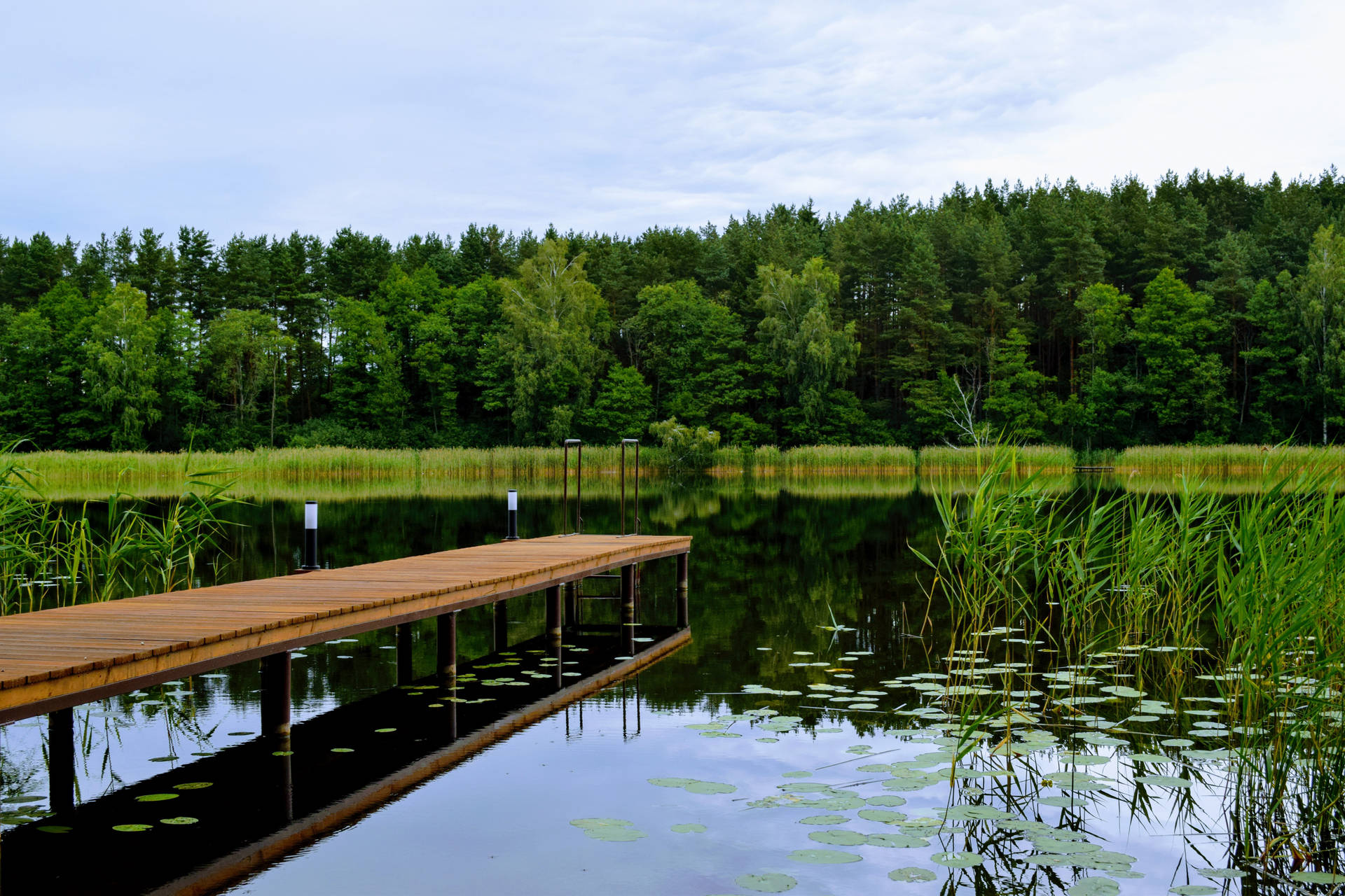 Beautiful Dock In Lily Pad Lake In Lithuania Wallpaper