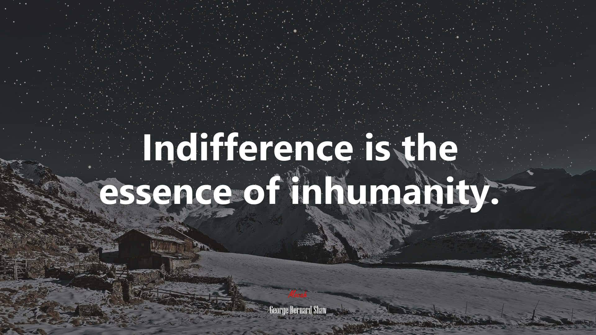 Being Indifferent And Inhumanity Wallpaper