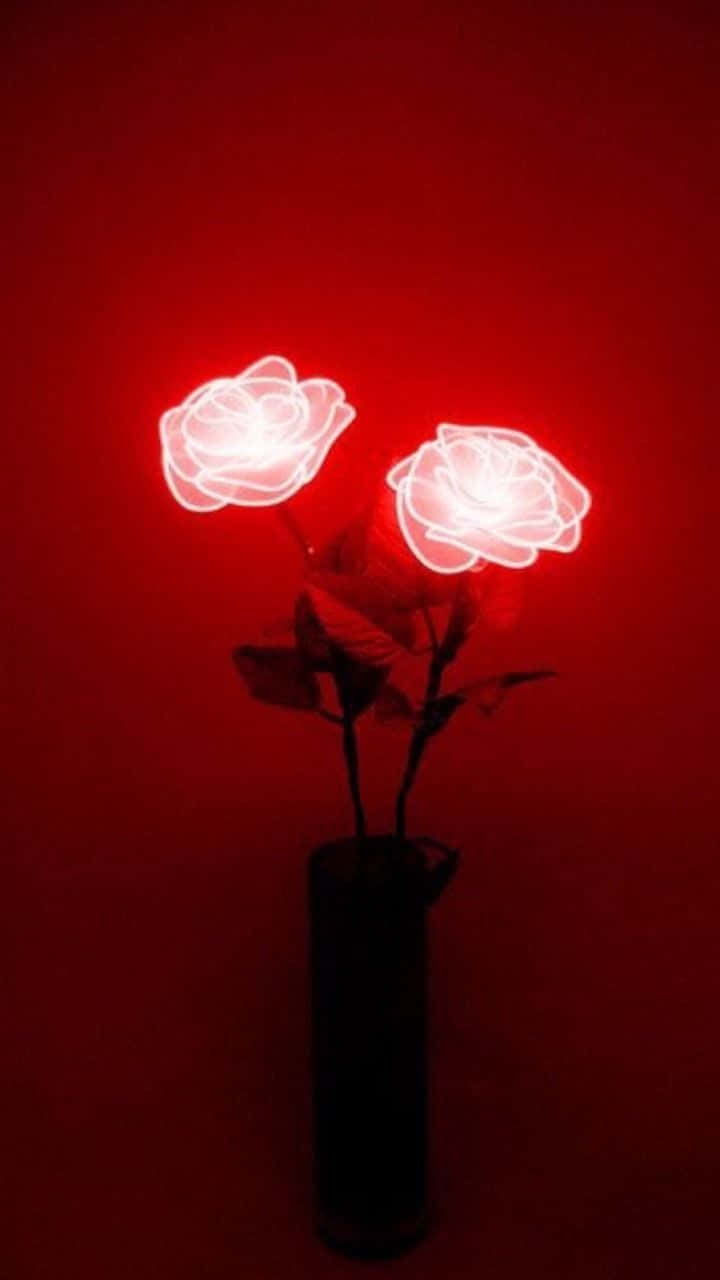 Black And Red Aesthetic Roses Neon Lamp Wallpaper