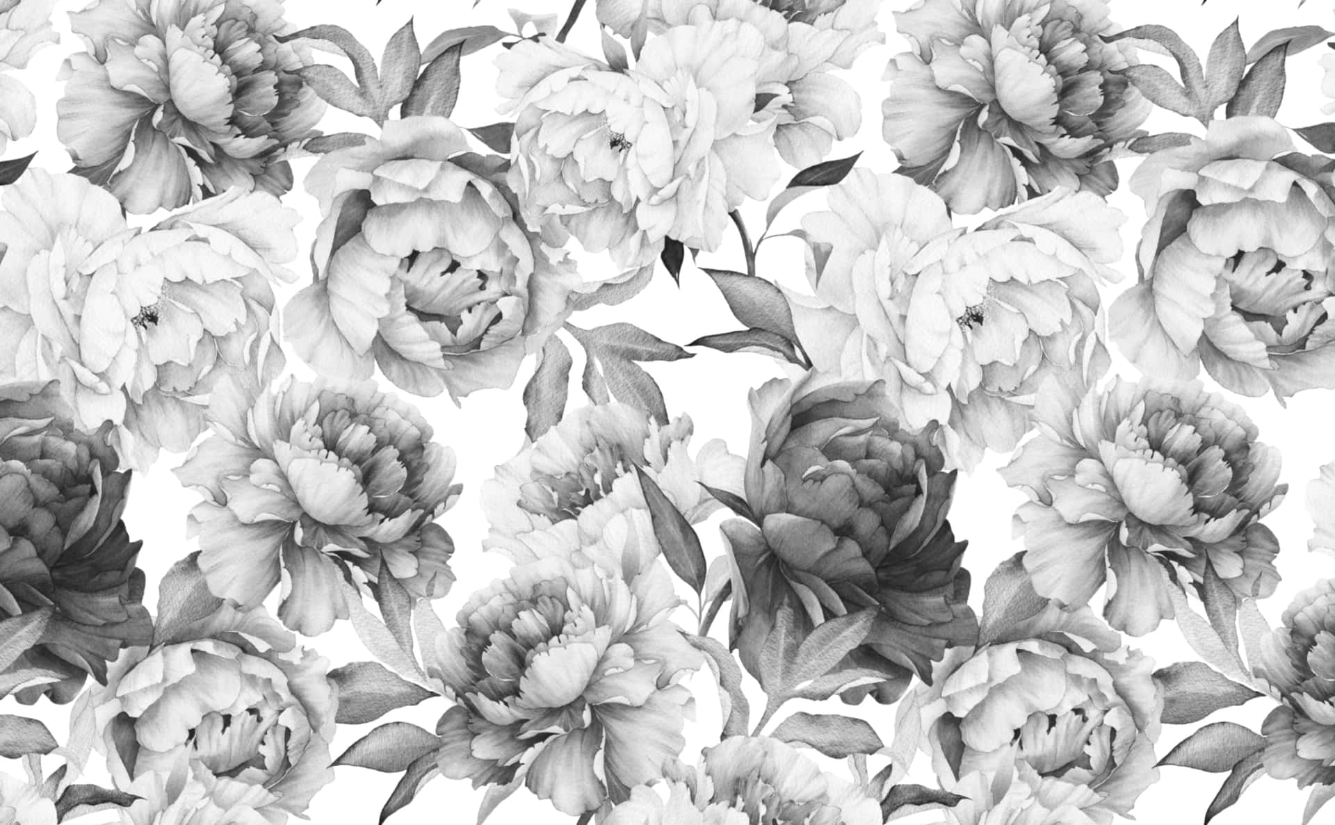 Black And White Flowers With Leaves Background