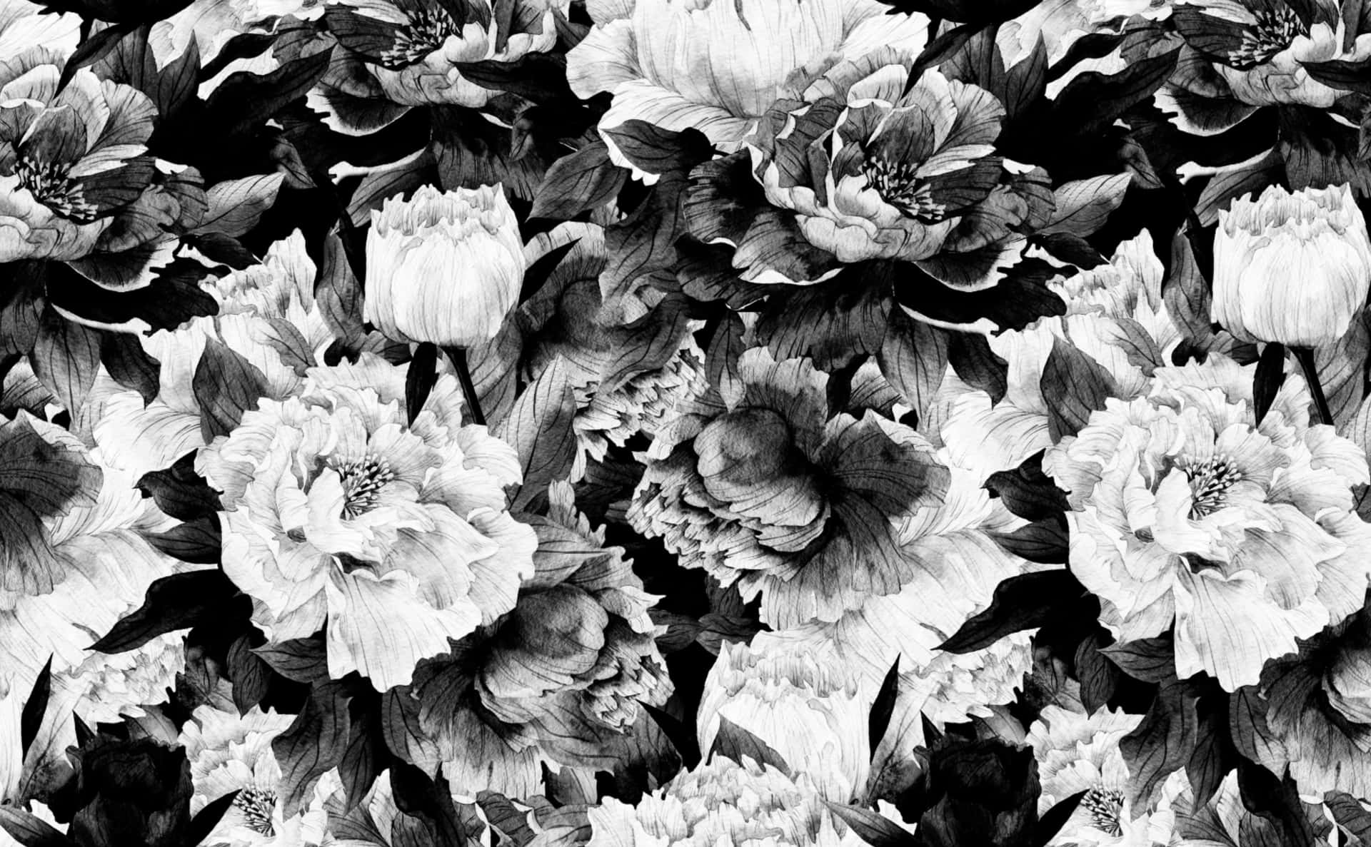 Black And White Flower Bush Background