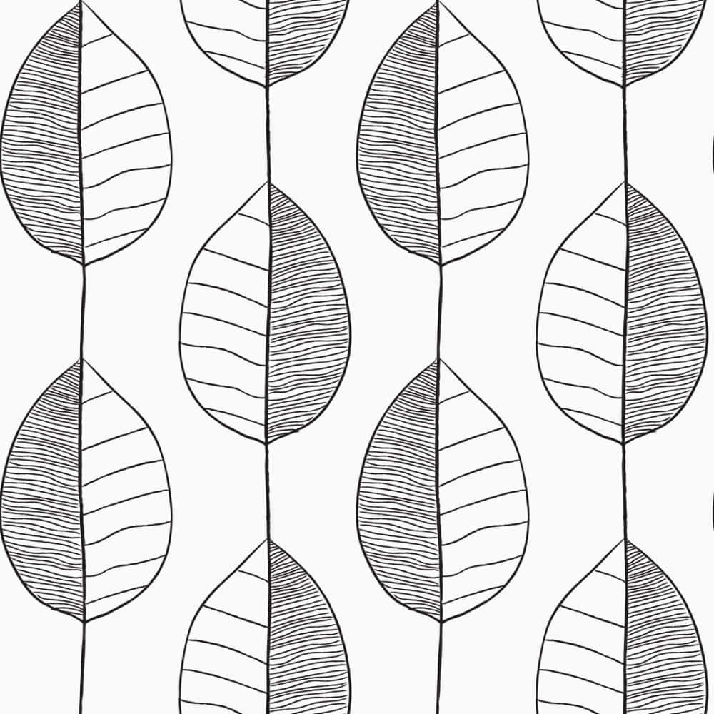 Black And White Leaf Patterns Background