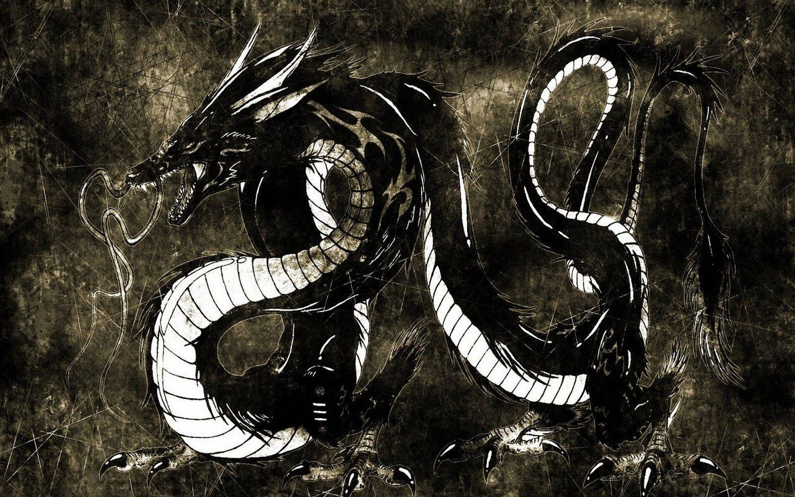 Majestic Japanese Dragon - Black and White PC Wallpaper Wallpaper