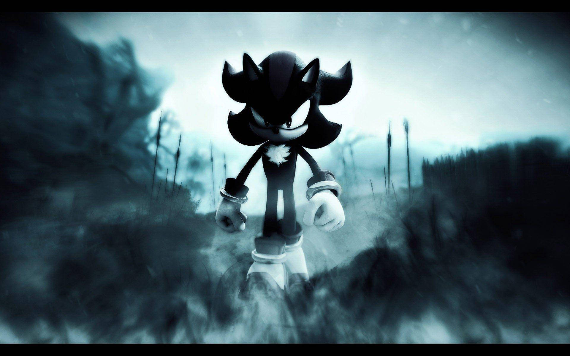 Black And White Sega Shadow The Hedgehog PFP Wallpaper