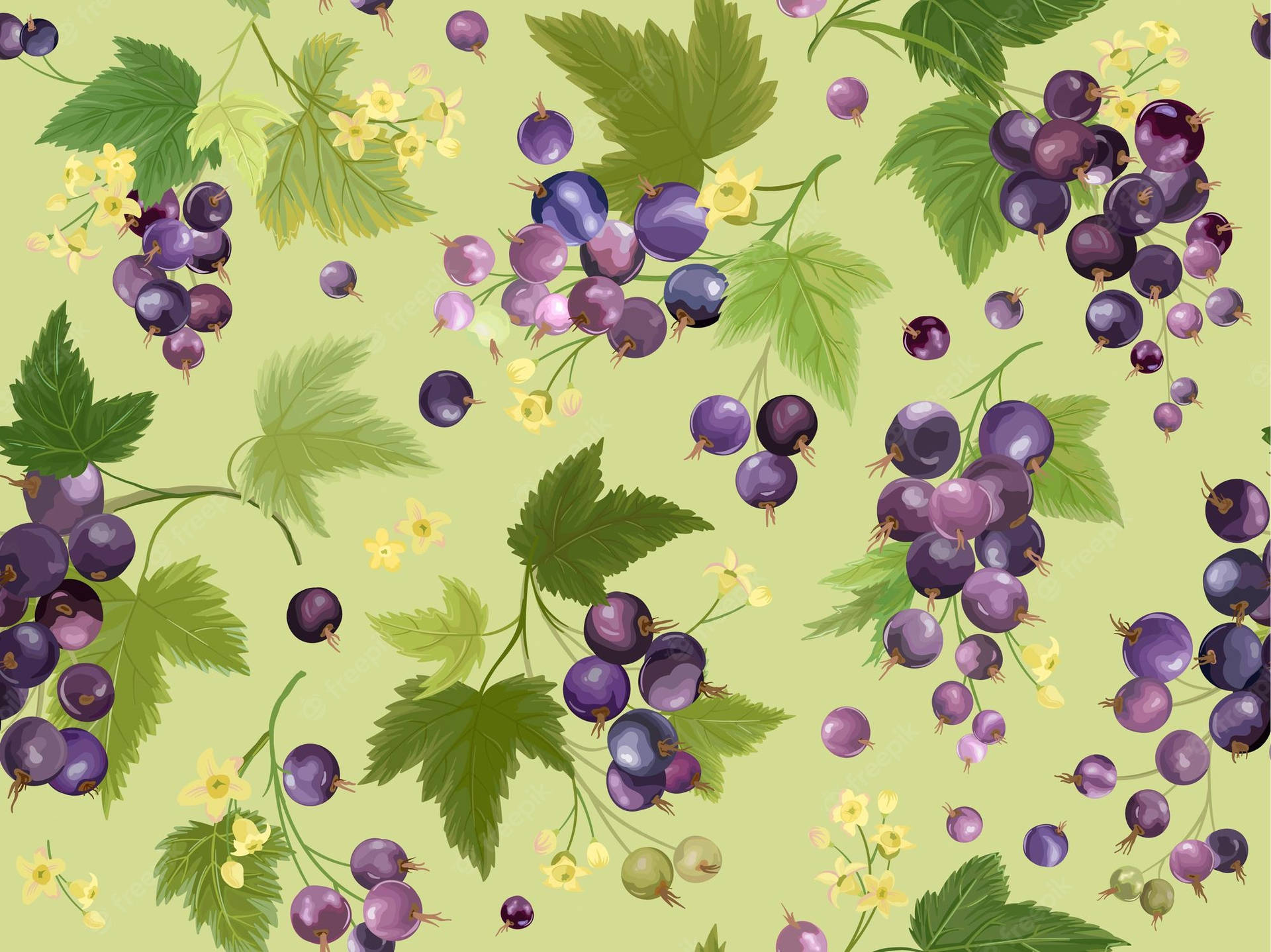 Caption: Artful Representation of Ripe Black Currant Berries Wallpaper