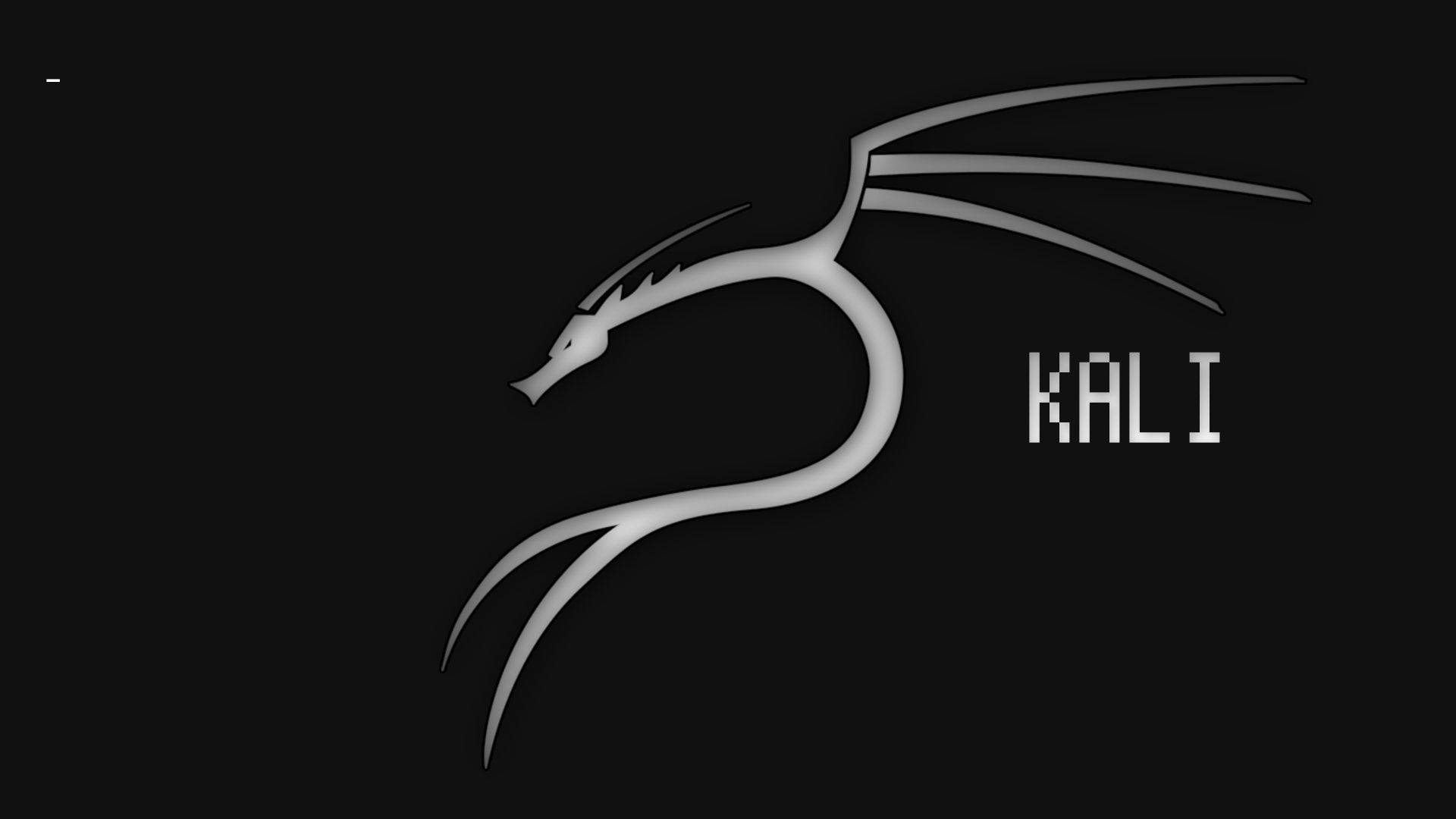 Black&White Kali Linux Wallpaper