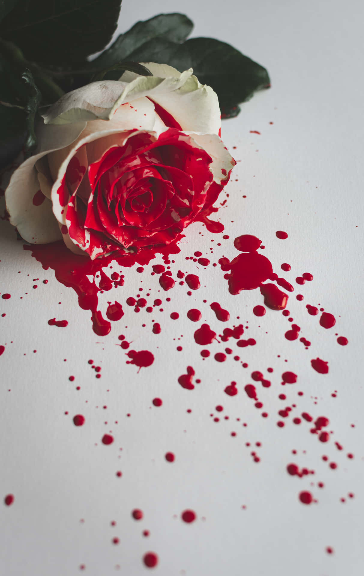 Portrait Roses Blood Splatter Background