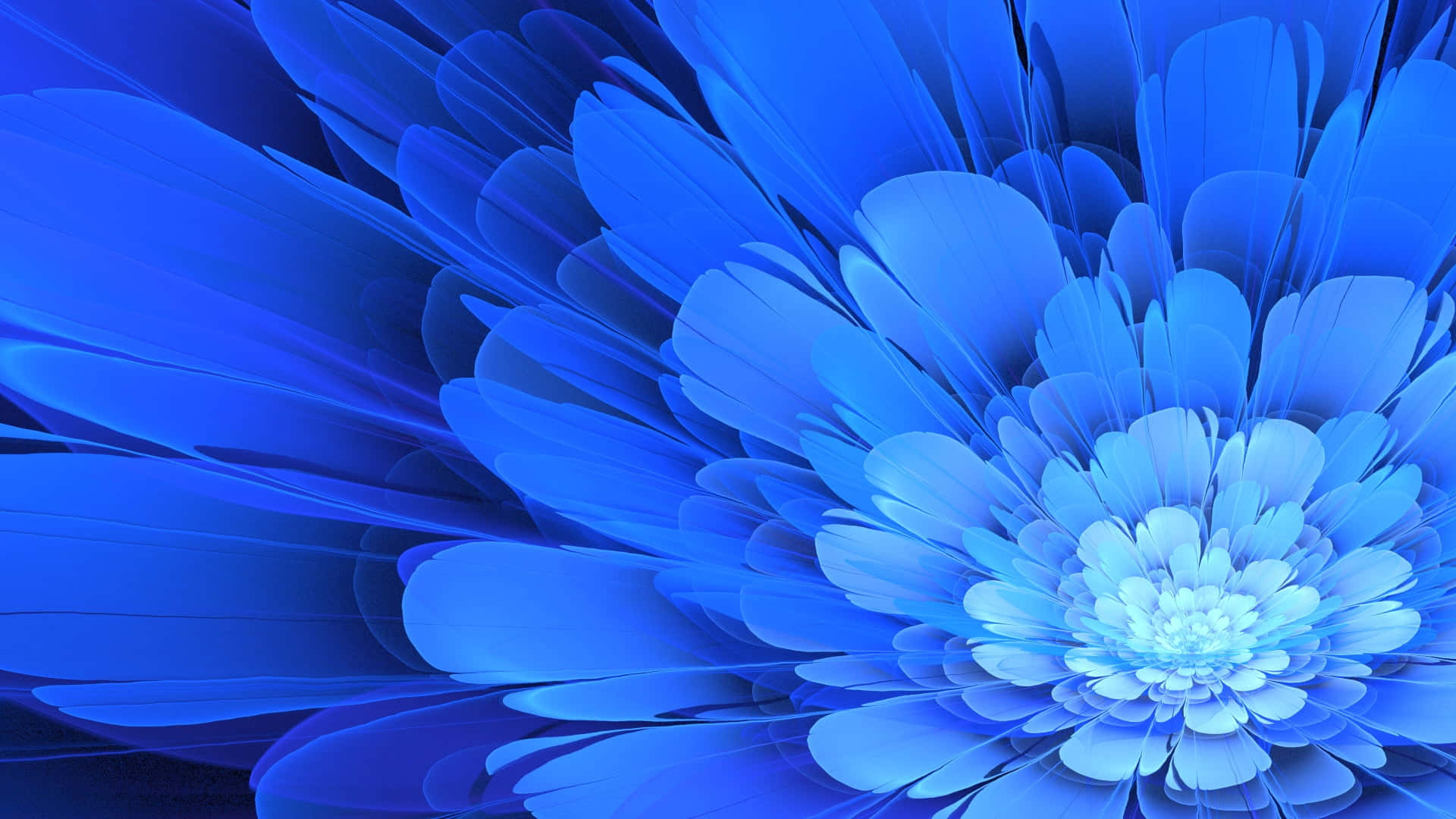 Animated Apophysis Blue Flower Picture