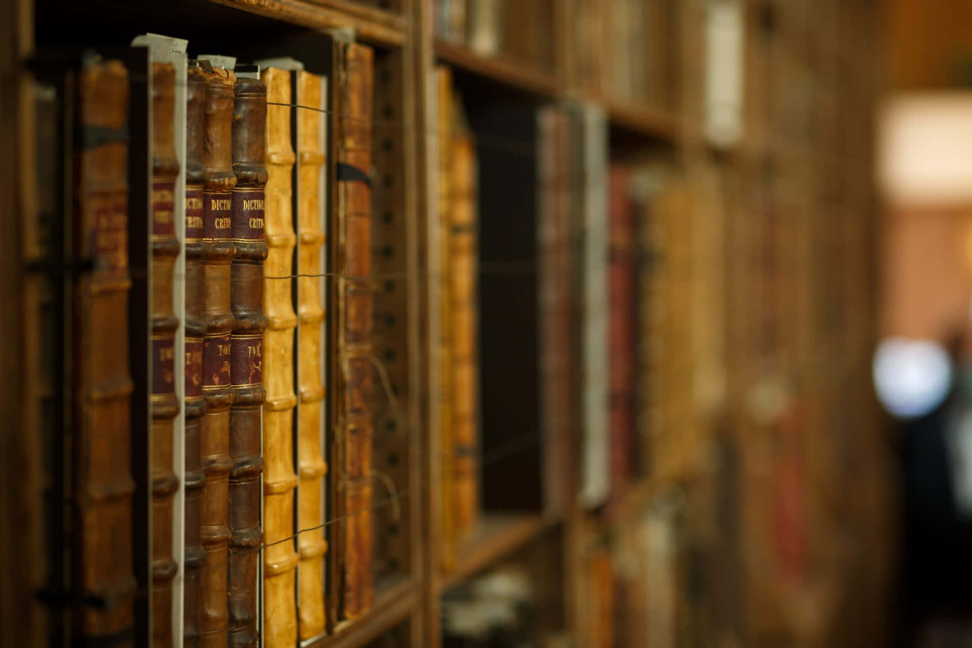 "A Glimpse of Vivid History - Inside the Chester Cathedral Library" Wallpaper