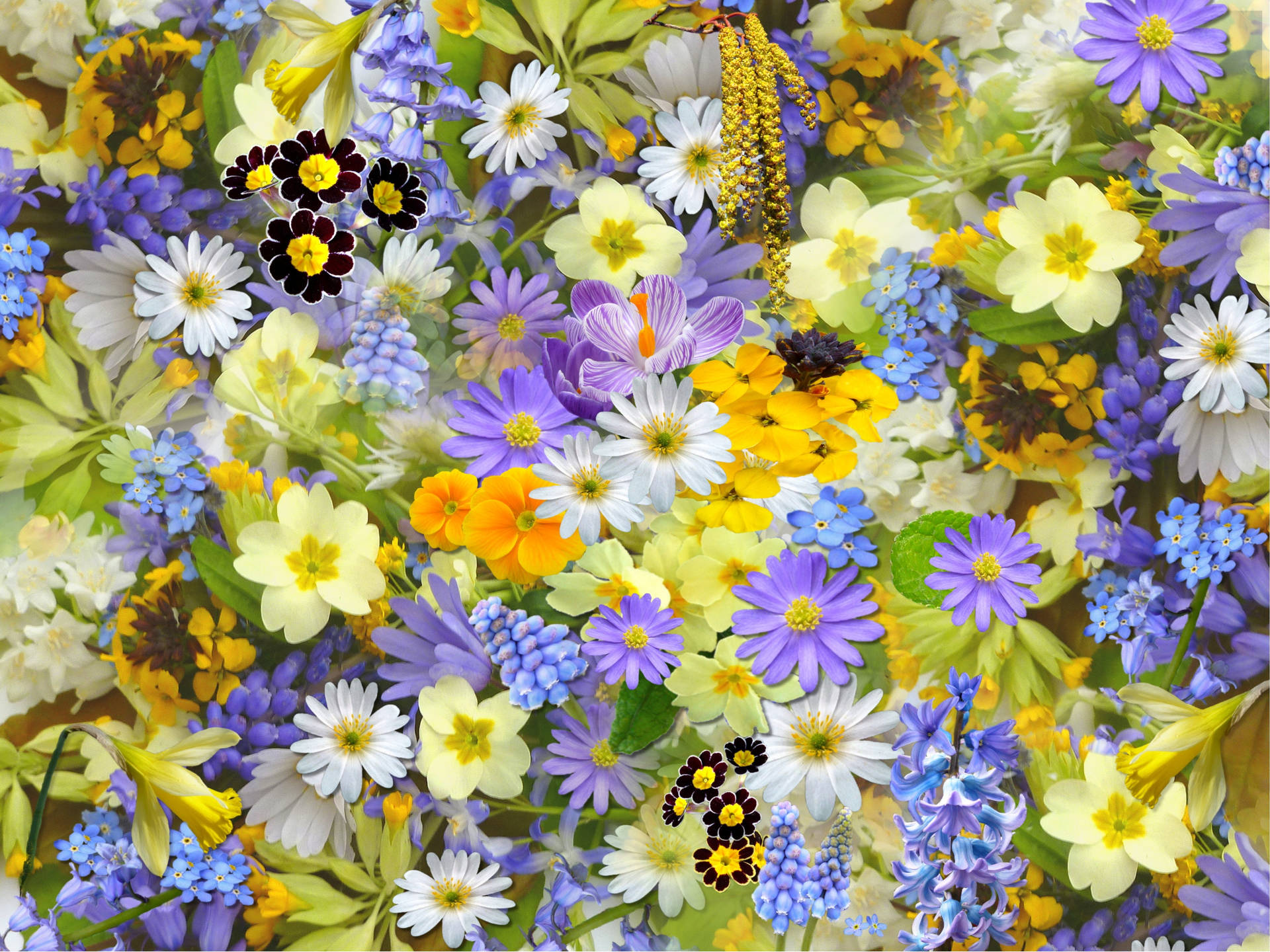 Bright Flowers Background Wallpaper