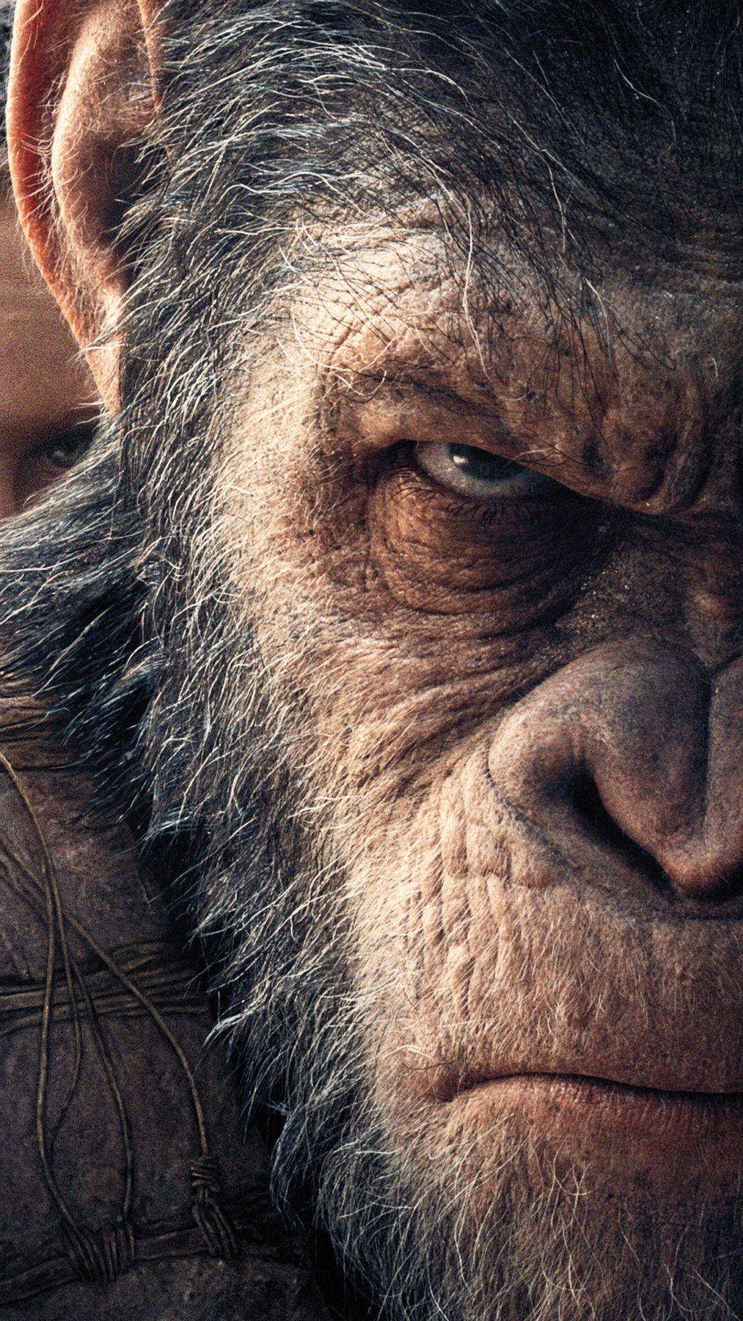 Caesar Close Up Planet Of The Apes Wallpaper