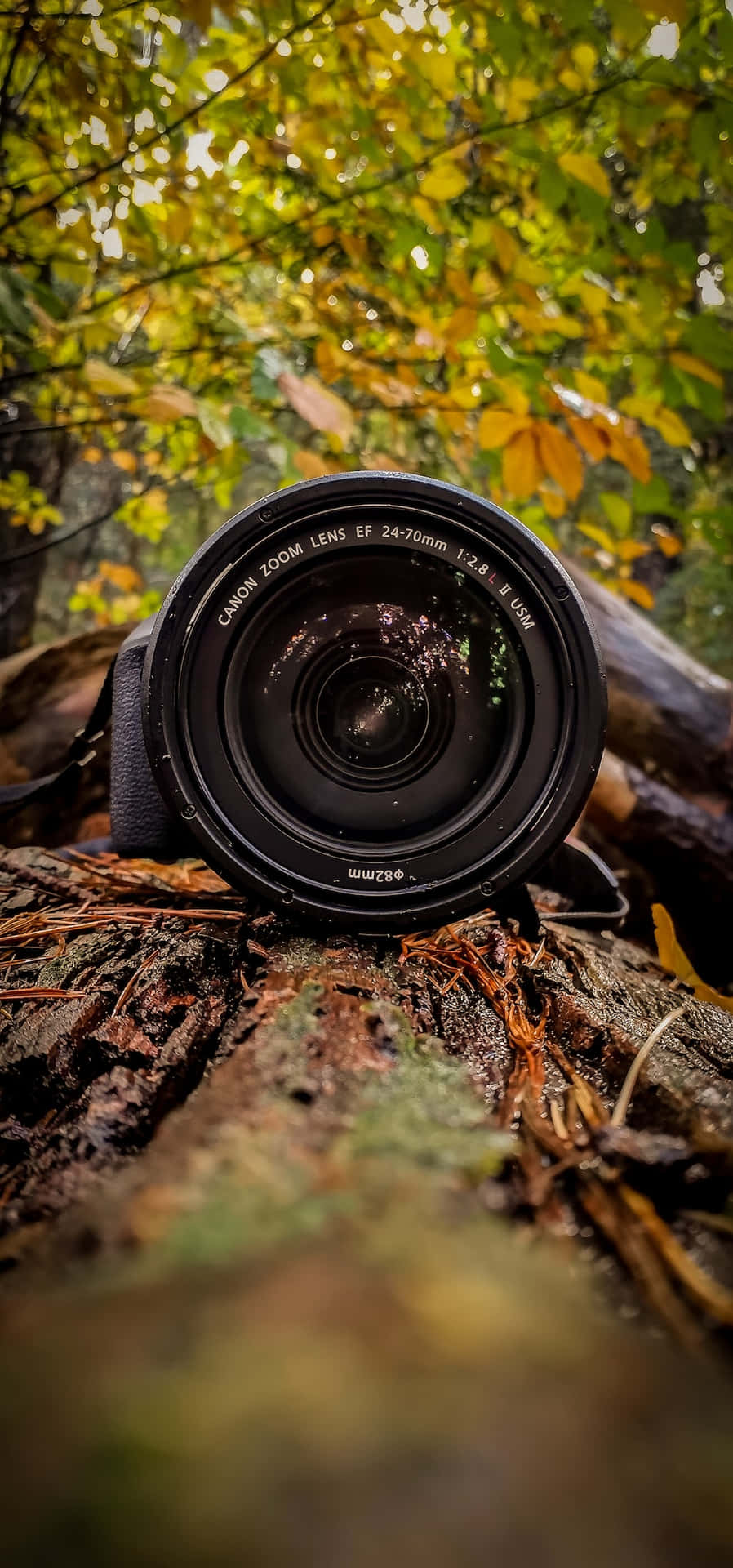 A Camera Lens On A Log In The Forest