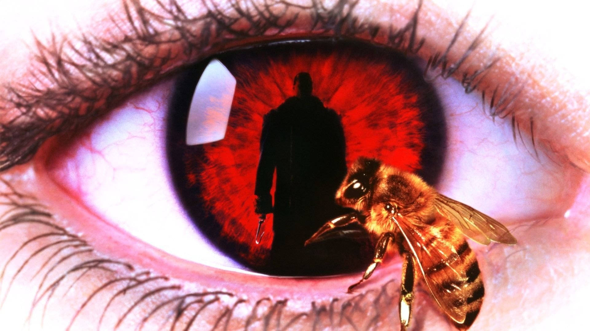 Candyman Bee On Eyes Close-Up Wallpaper