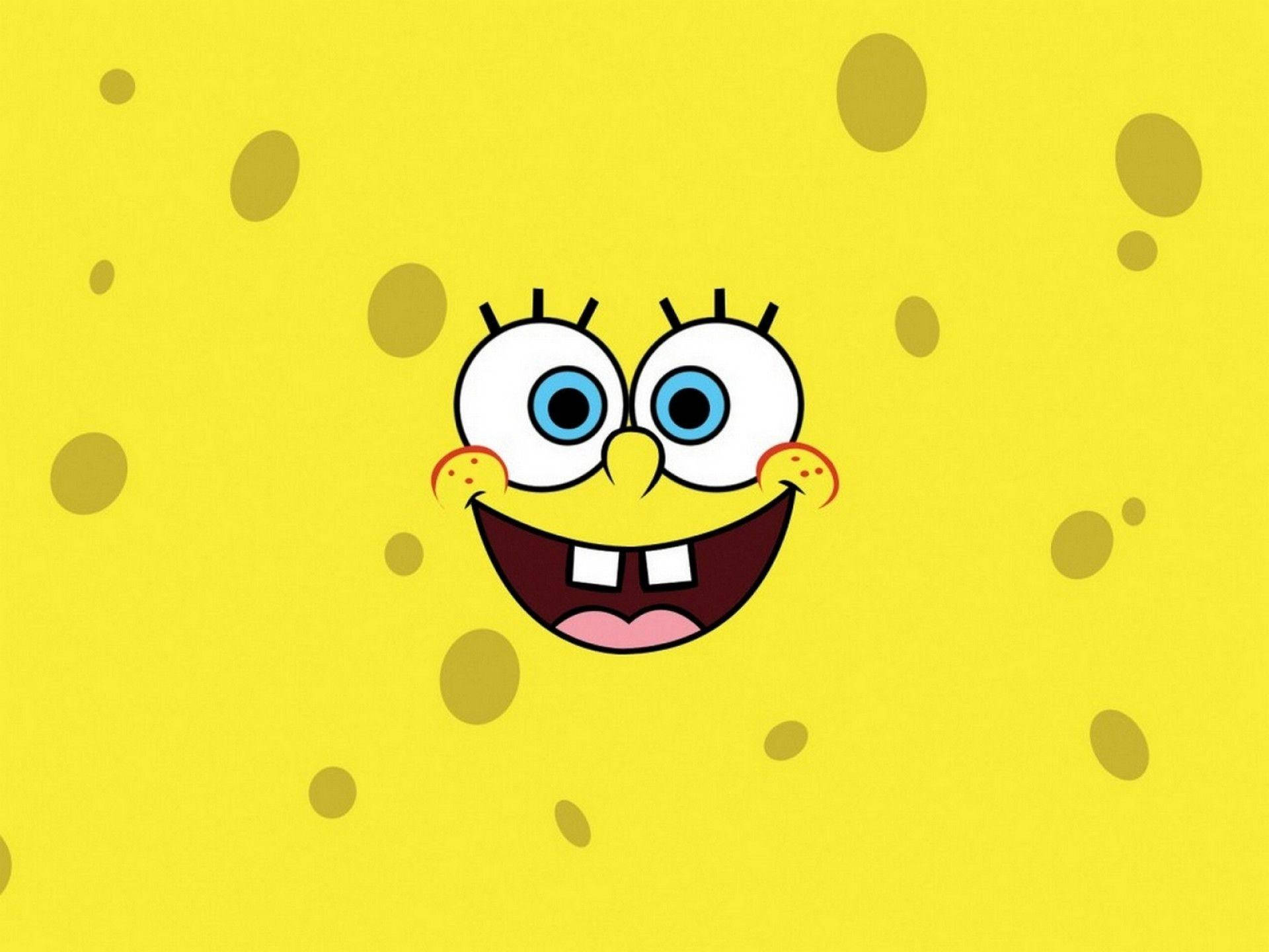 Cartoons Digital Image Of SpongeBob Wallpaper