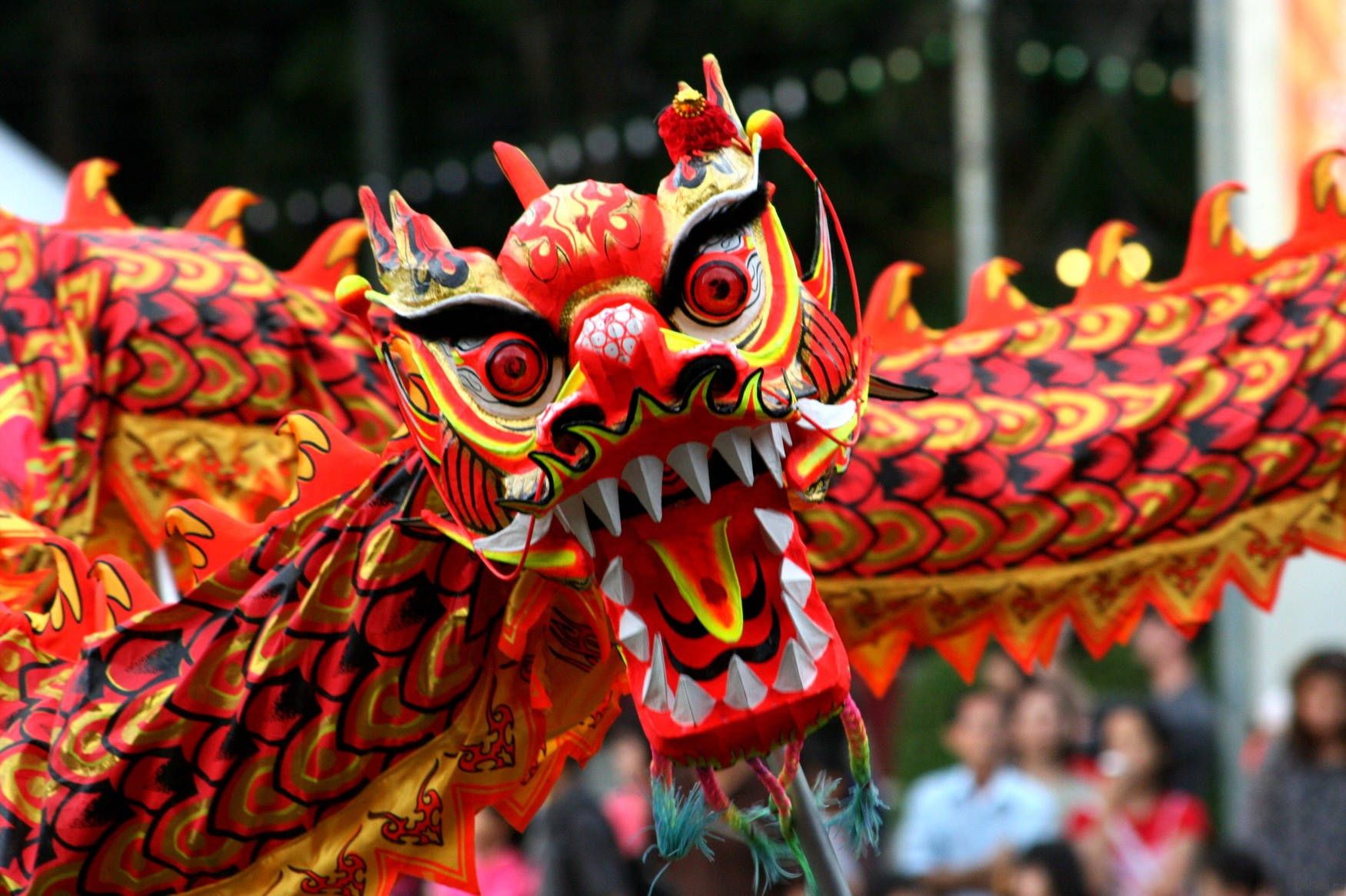 Start off New Year's with a roaring welcome - Chinese New Year's Dragon. Wallpaper