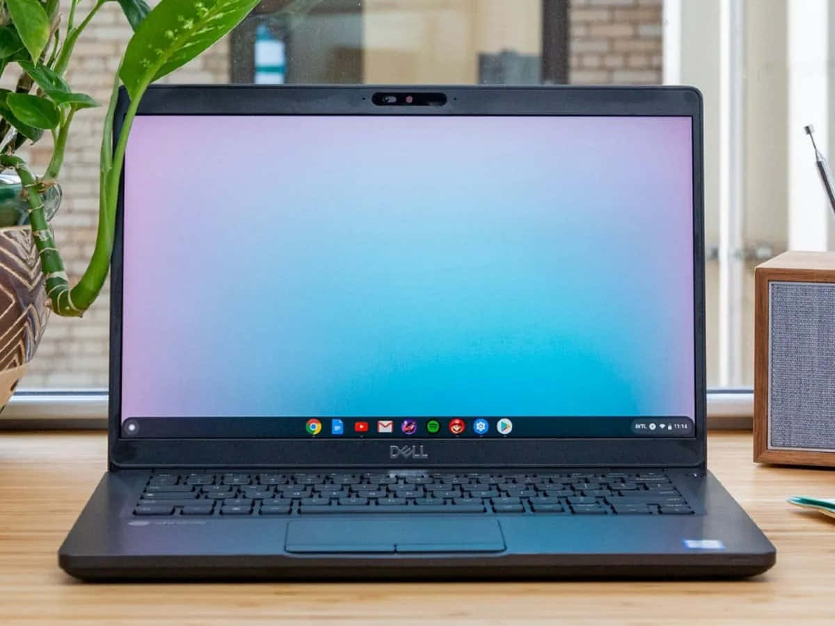 Introducing the Chromebook: An Affordable and Refined Laptop