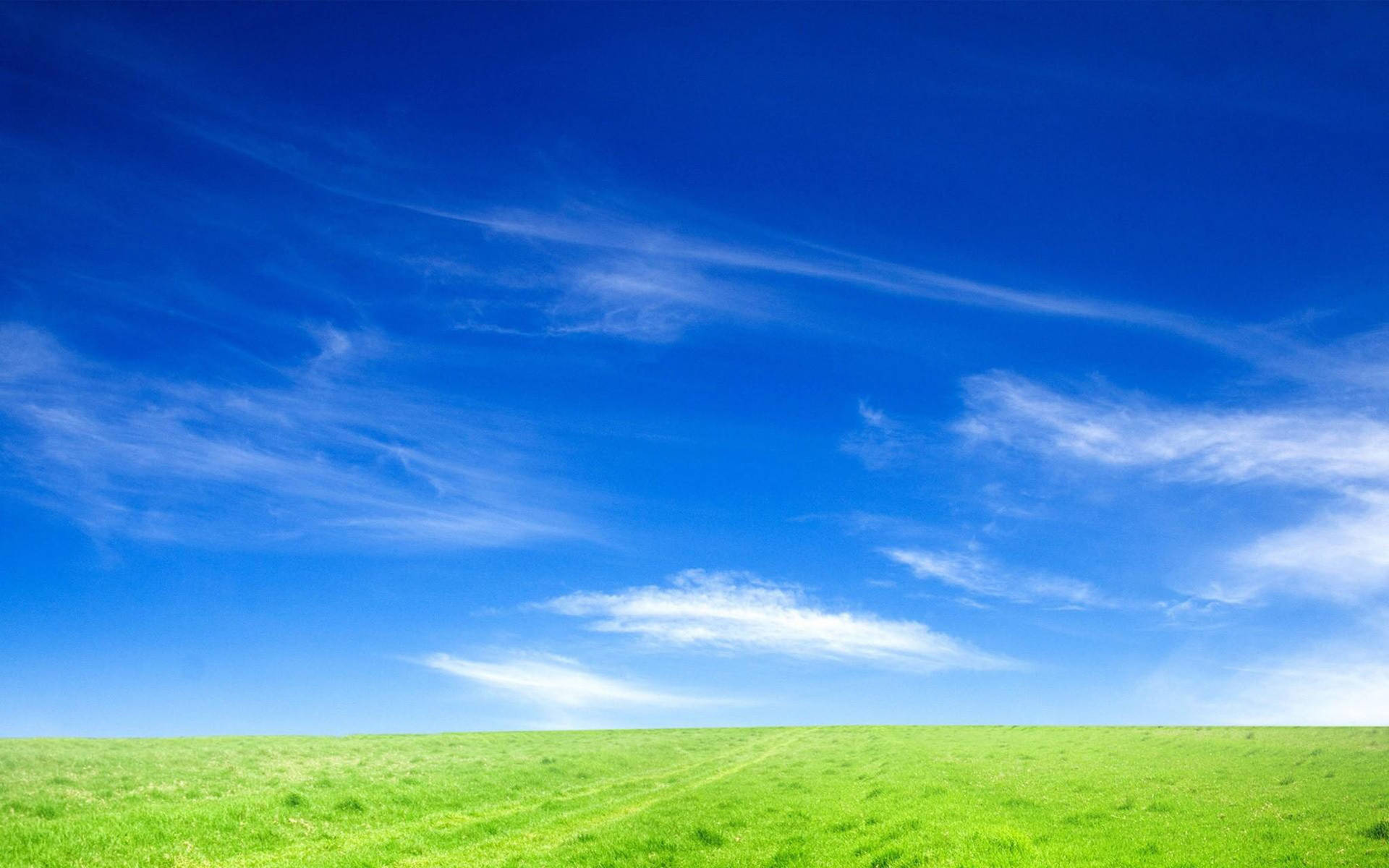 Clear Sky Background Wallpaper