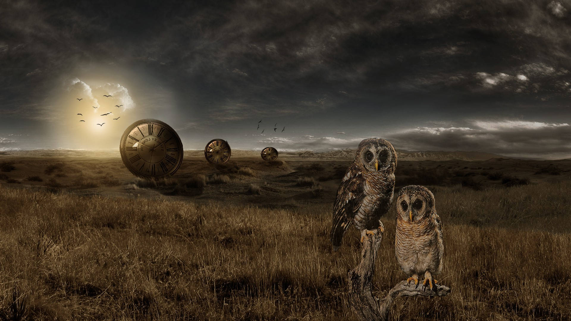 Clock Dials And Owls Photoshop Hd Wallpaper
