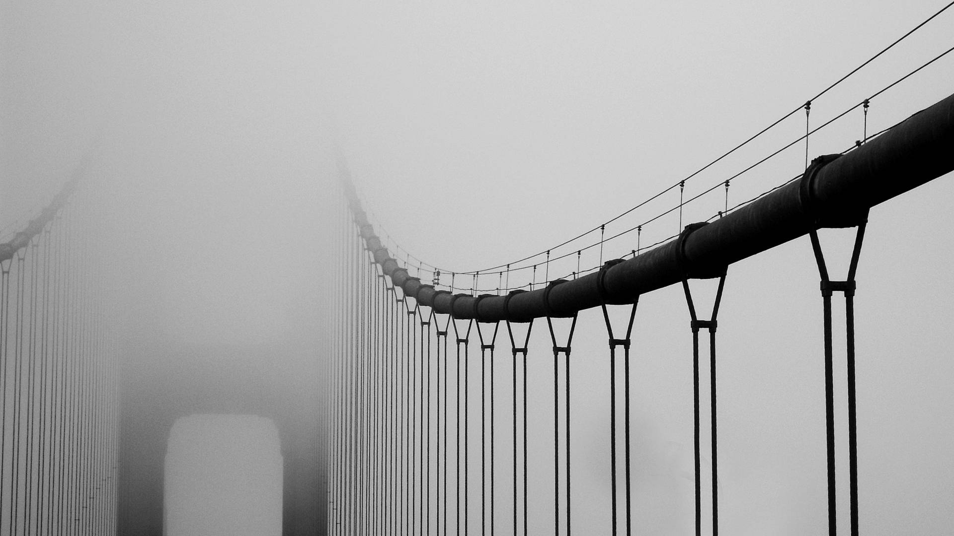 Close-Up B&W Bridge San Francisco Photography Wallpaper