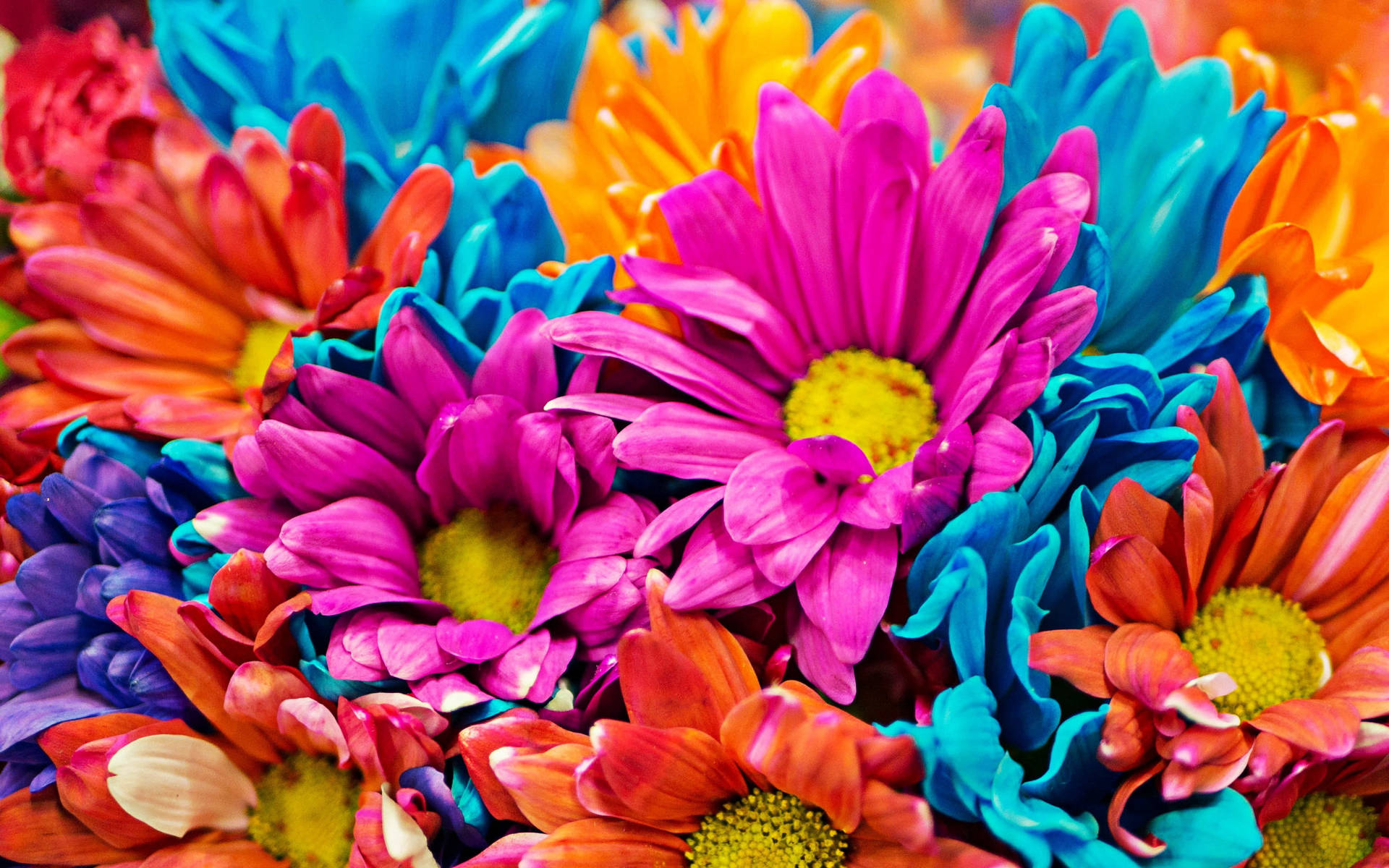 Colorful Bunch Of Beautiful Flower Wallpaper