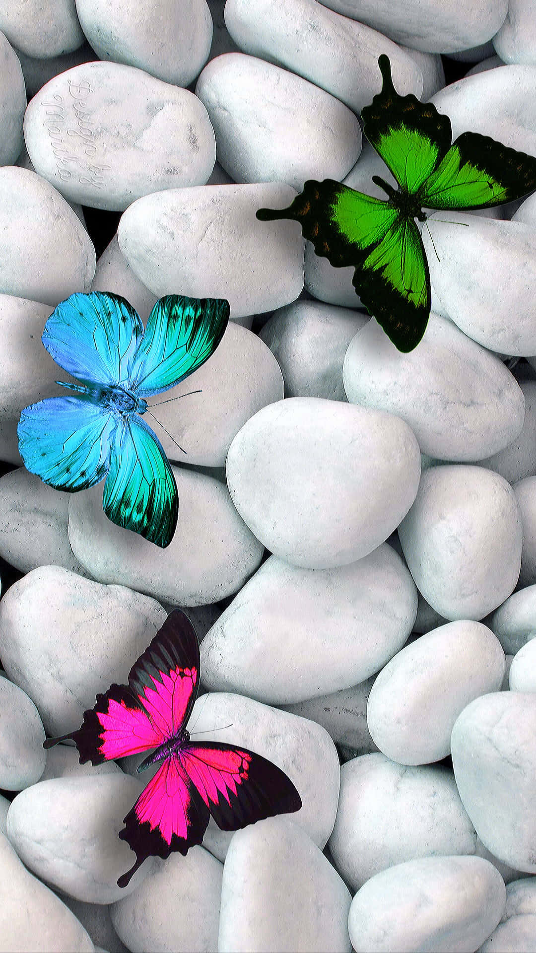 a colorful butterfly is sitting on a white rock
