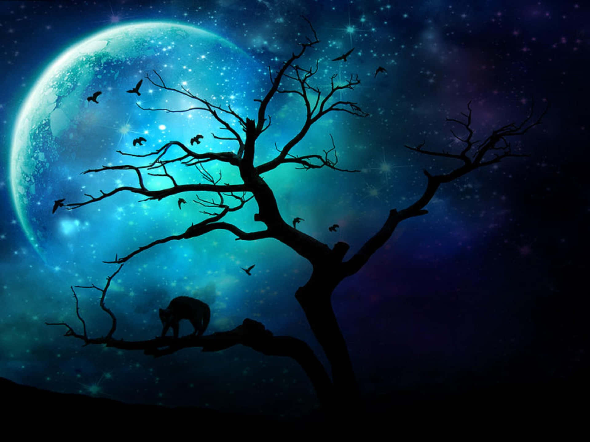 A beautiful night sky view of a Cool Moon Wallpaper