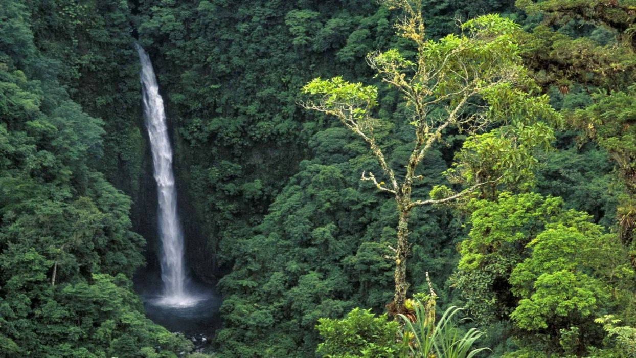 Costa Rica La Fortuna Waterfall Wallpaper