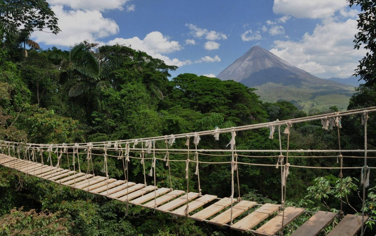Costa Rica Rope Bridge Wallpaper