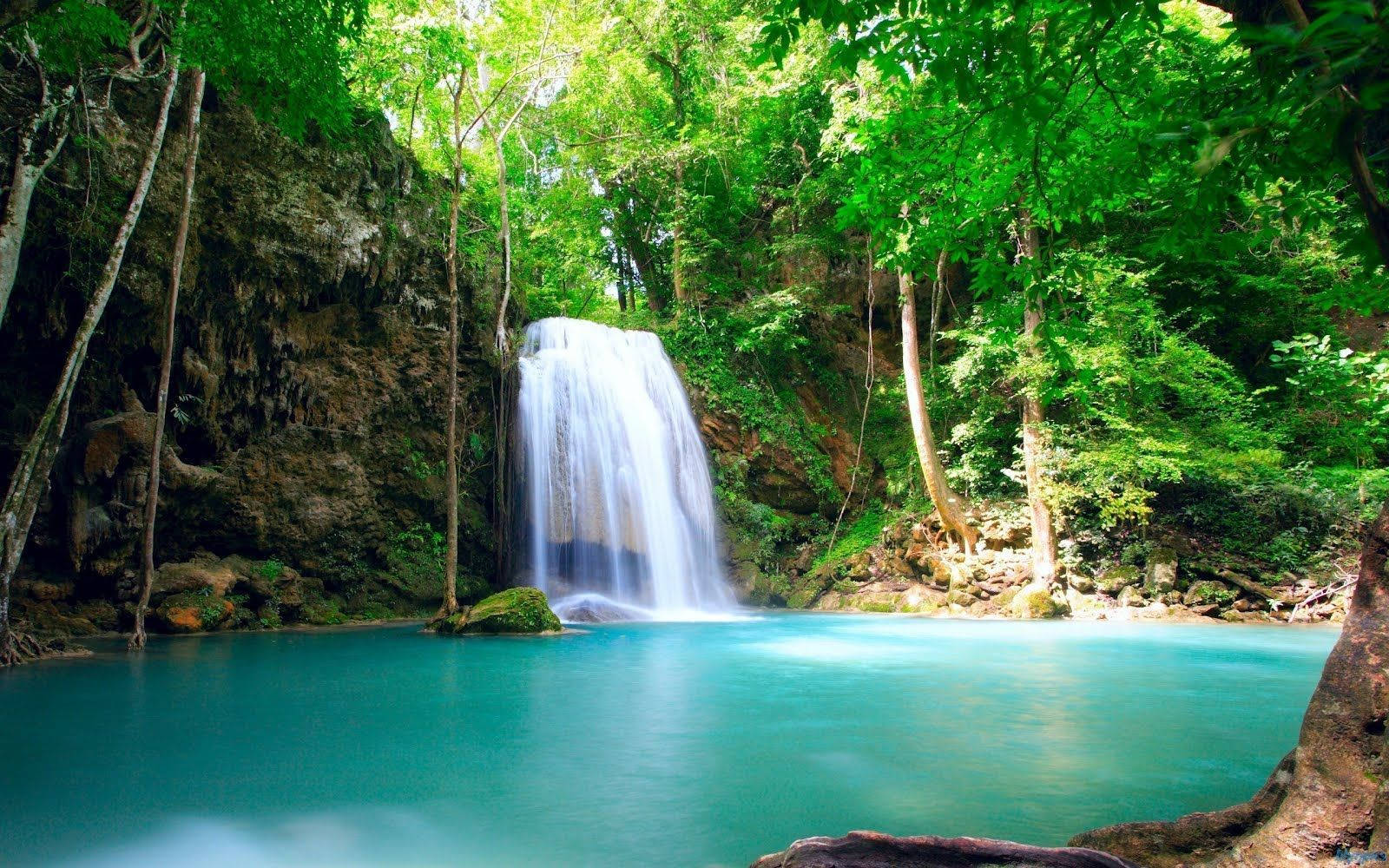 Costa Rica Tropical Waterfall Wallpaper