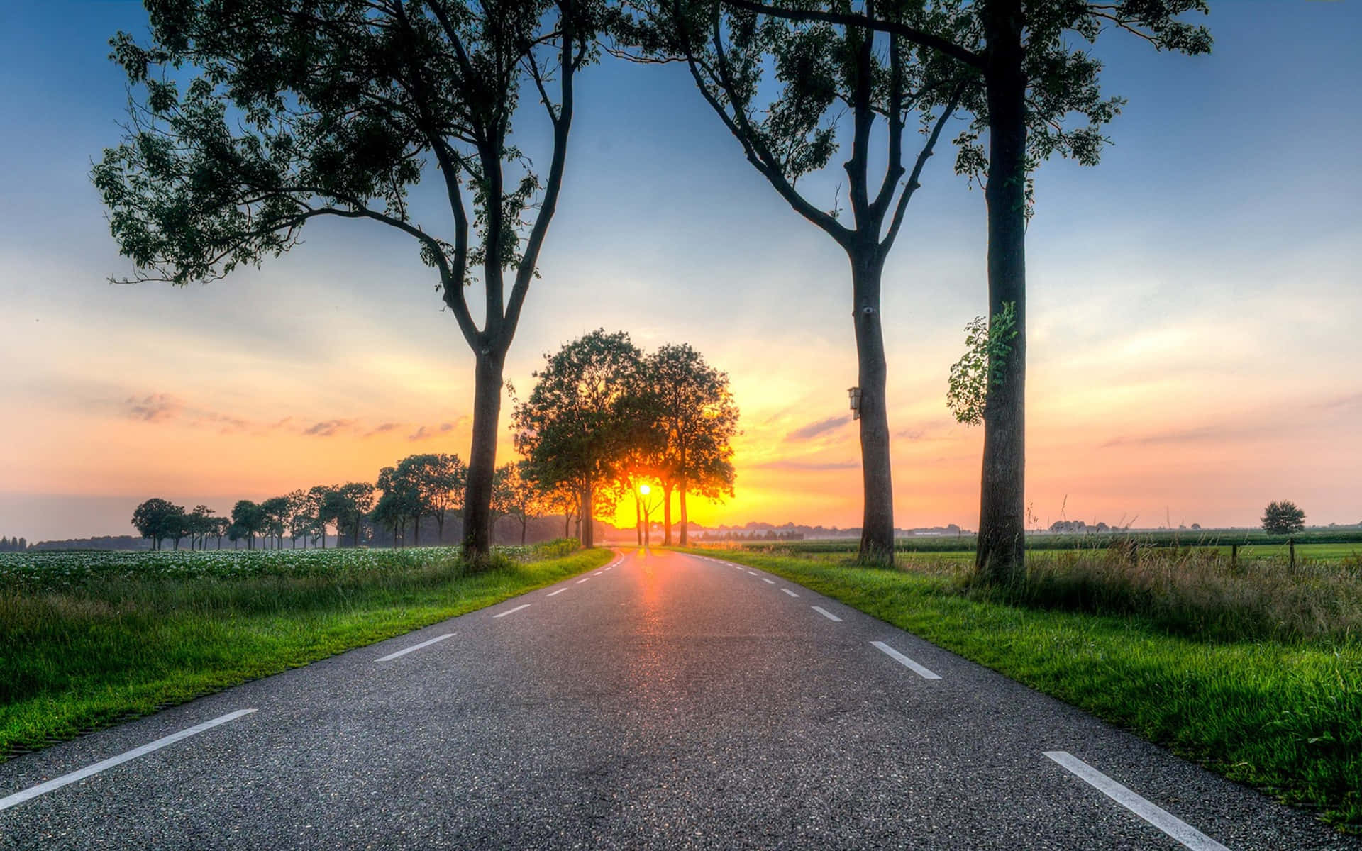 Countryside Road Trees At Sunset Wallpaper